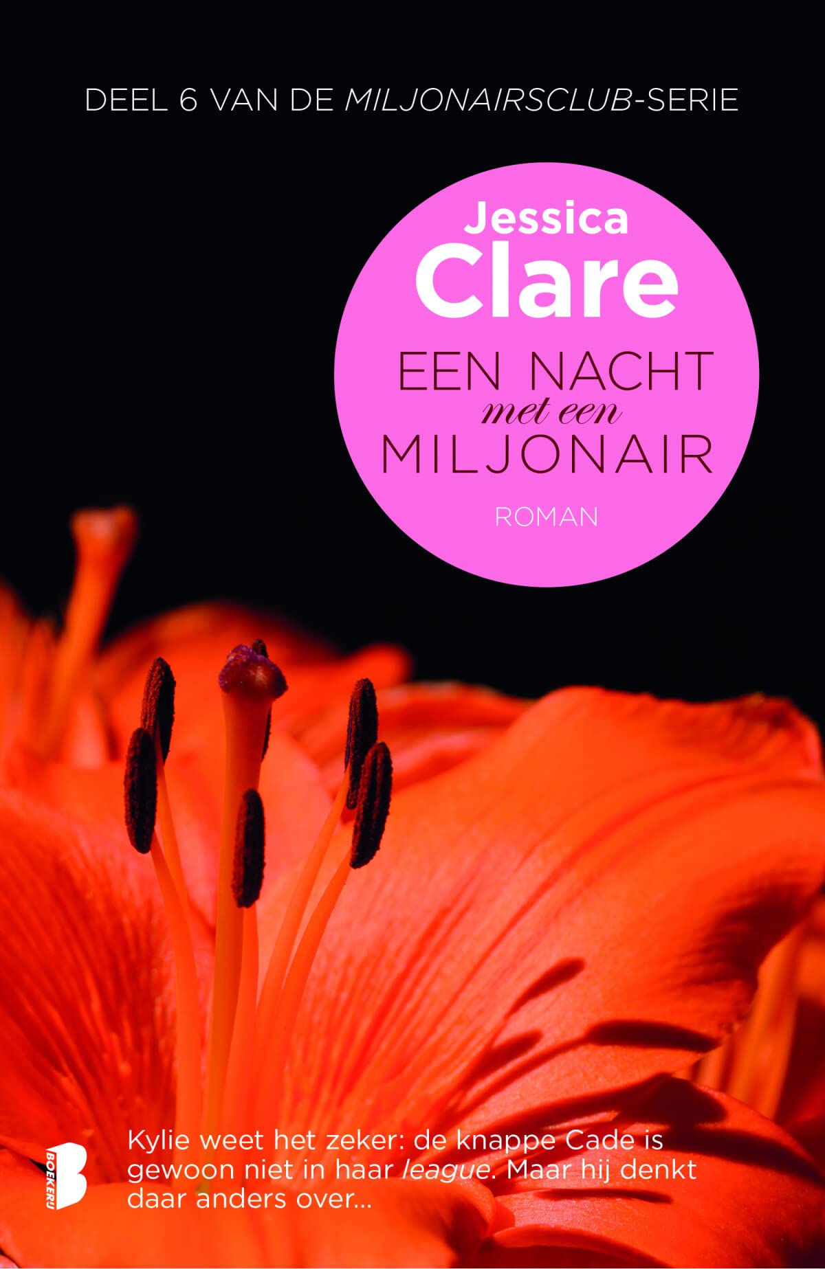 Een nacht met een miljonair book