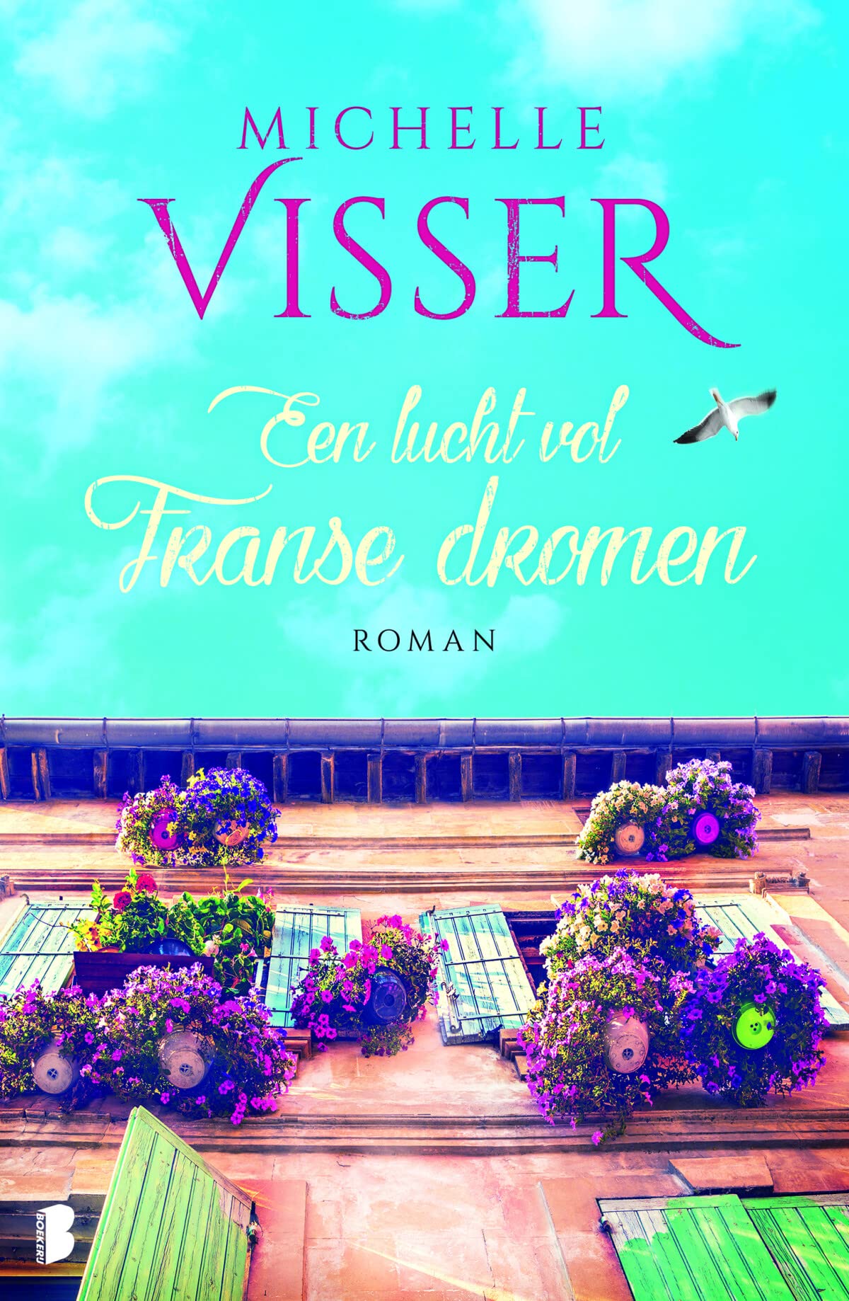 Een lucht vol Franse dromen book