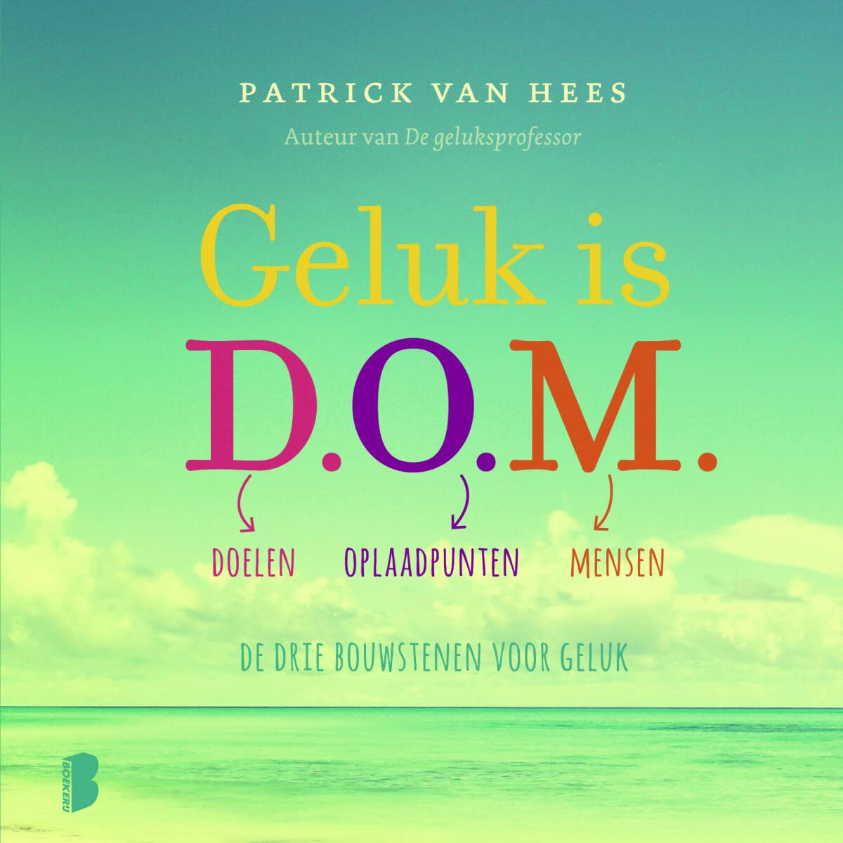 Geluk is D.O.M.: doelen, oplaadpunten, mensen : de drie bouwstenen voor geluk book