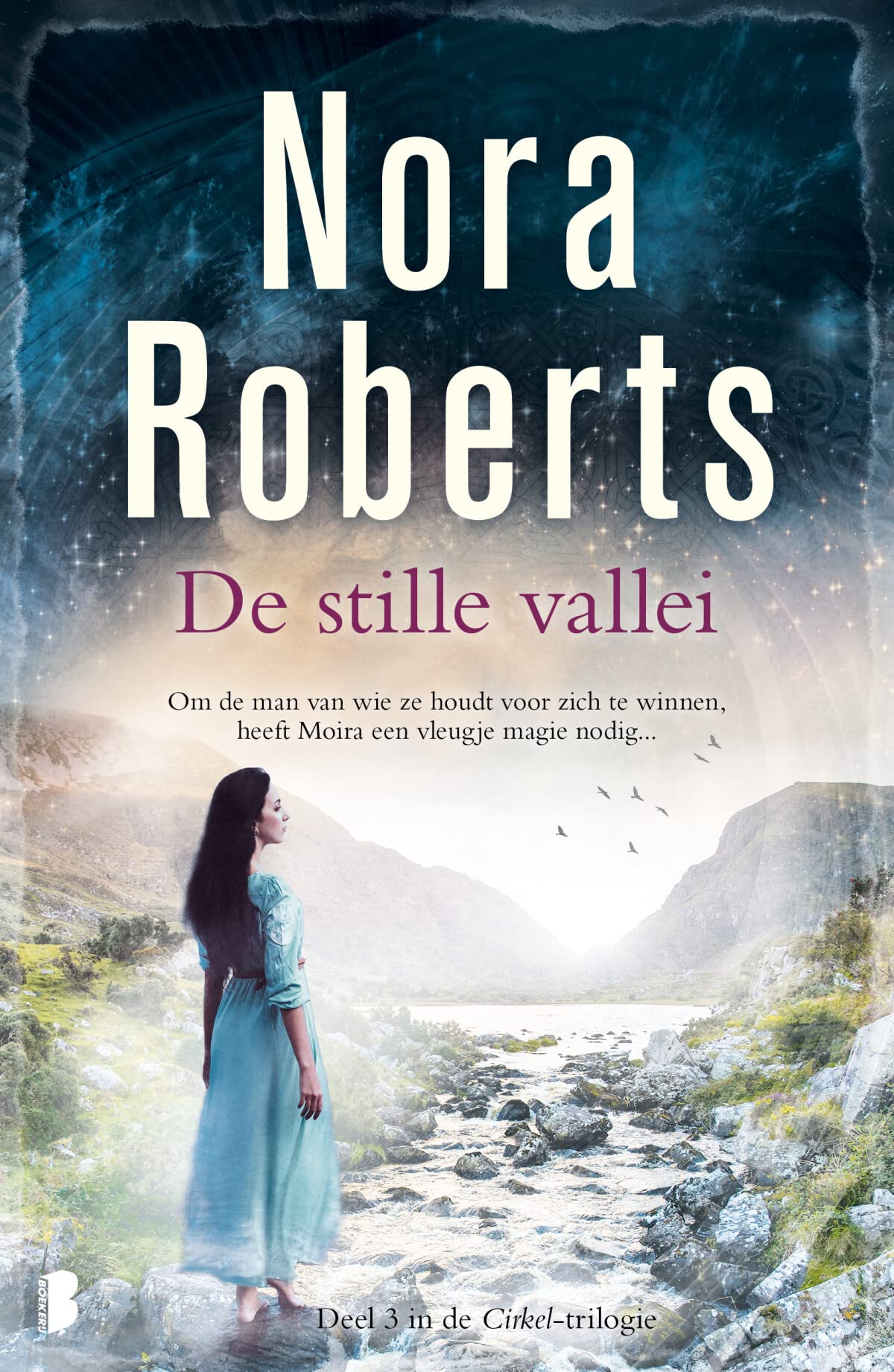 De stille vallei Contemporary literature Books