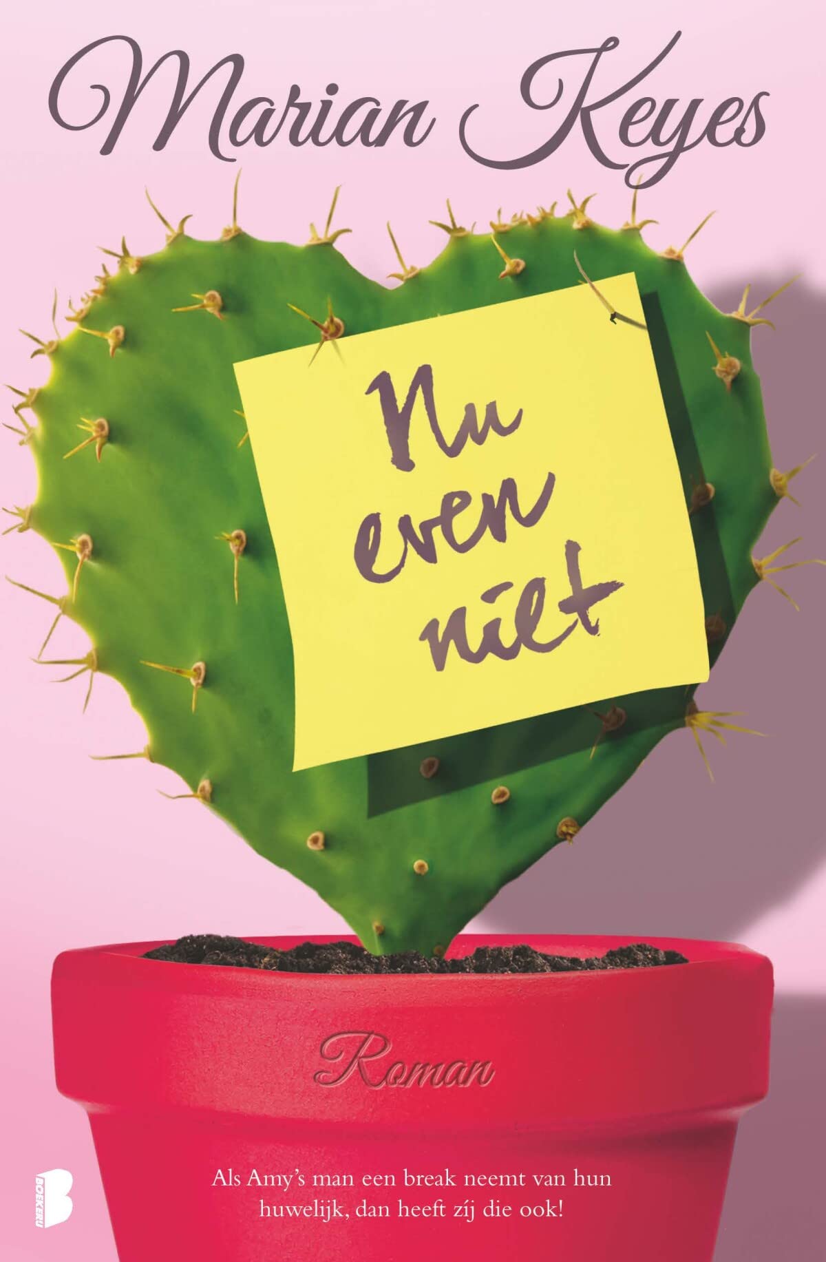 Nu even niet: Als Amy's man een pauze neemt van hun huwelijk, dan heeft zíj die ook! Contemporary literature