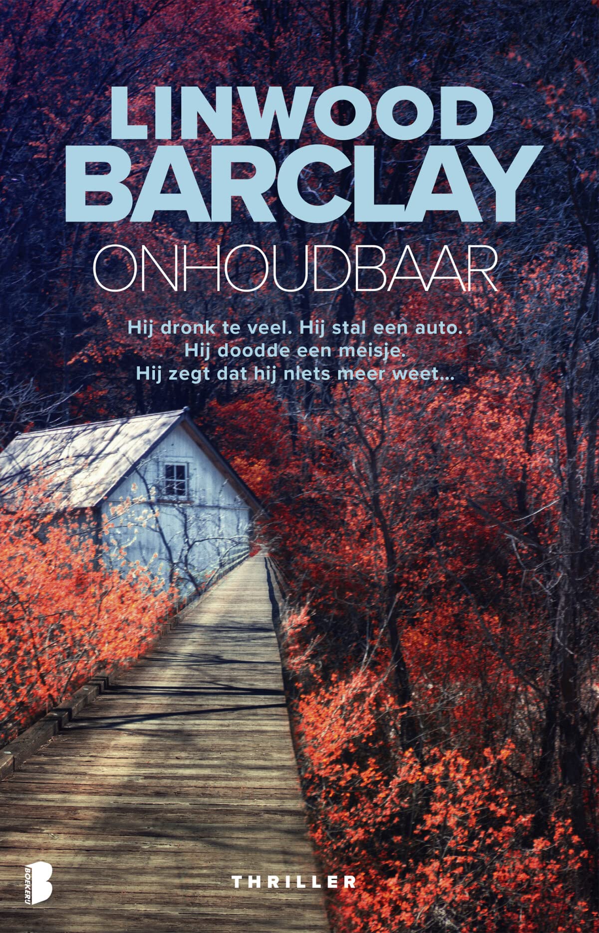 Onhoudbaar (Promise Falls, 4) Contemporary literature