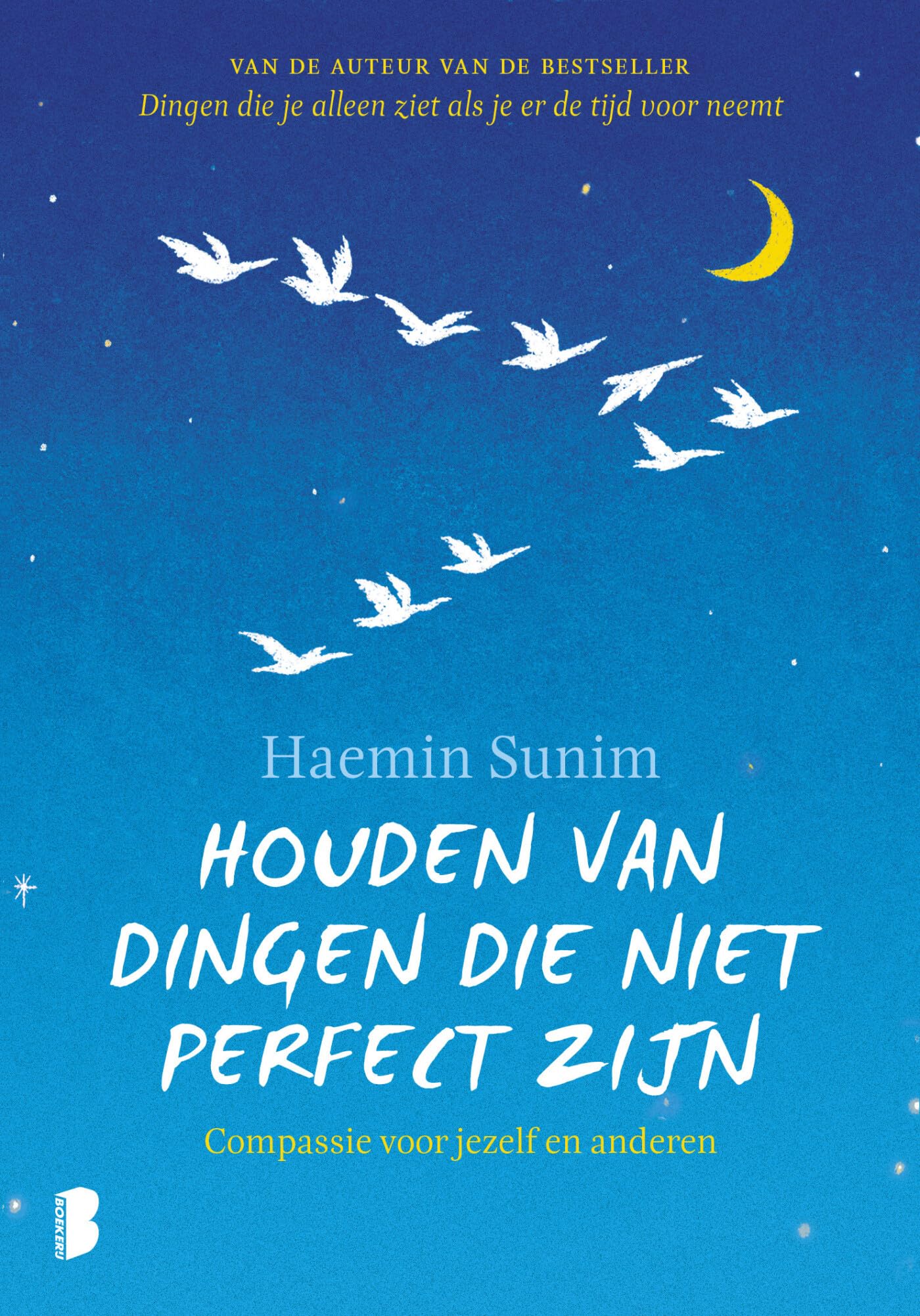 Houden van dingen die niet perfect zijn: compassie voor jezelf en anderen Business, Finance & Career