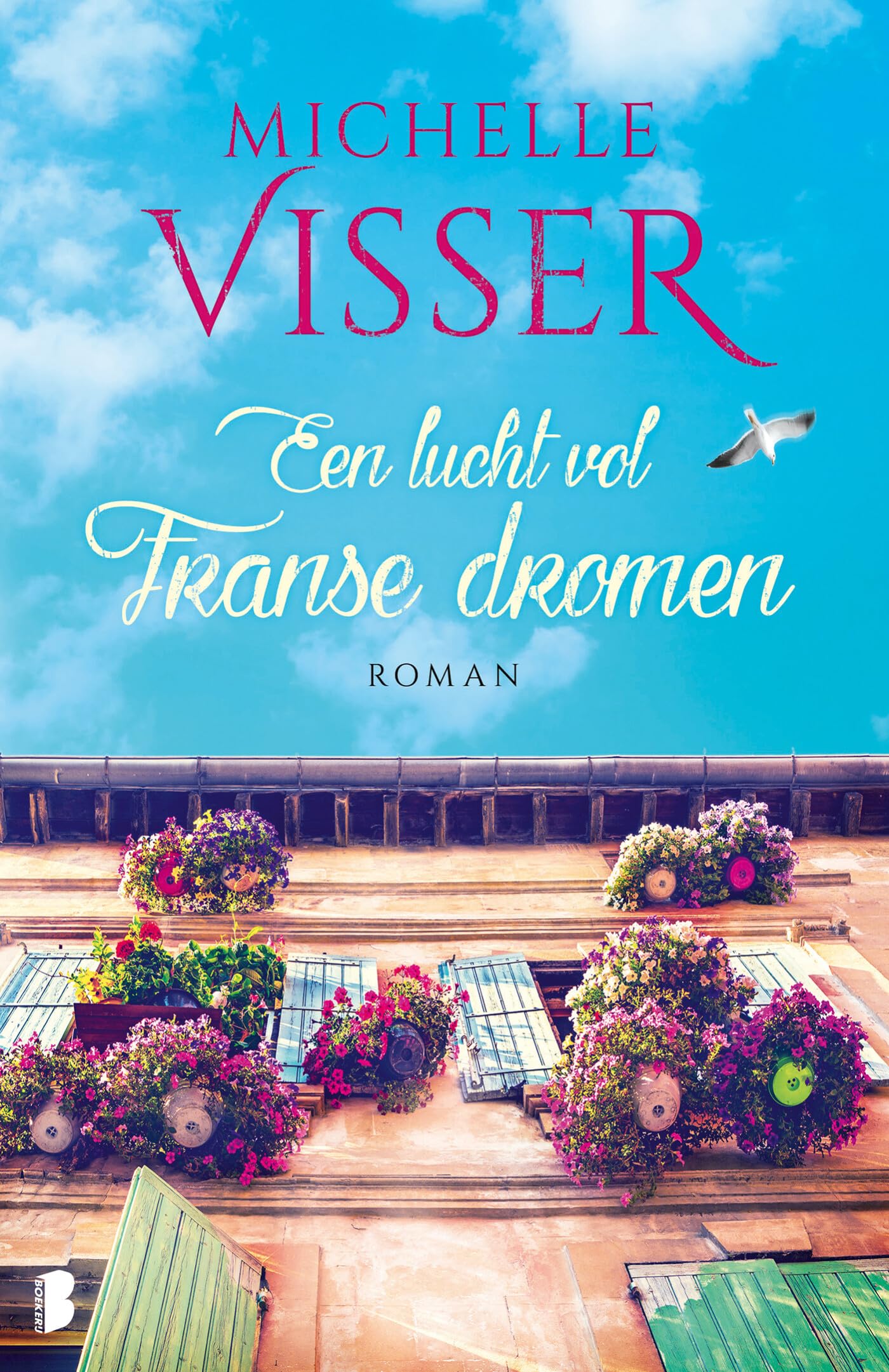 Een lucht vol Franse dromen book