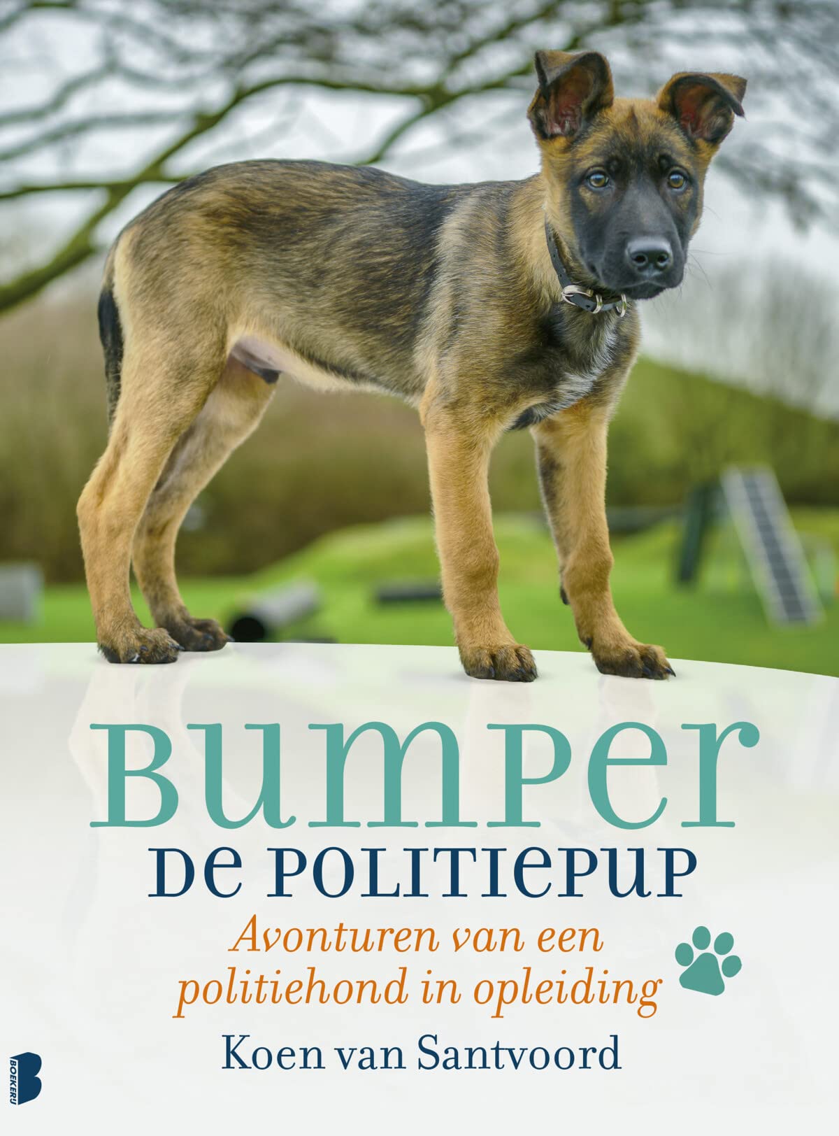 Bumper de politiepup: Avonturen van een politiehond in opleiding Politics & Society