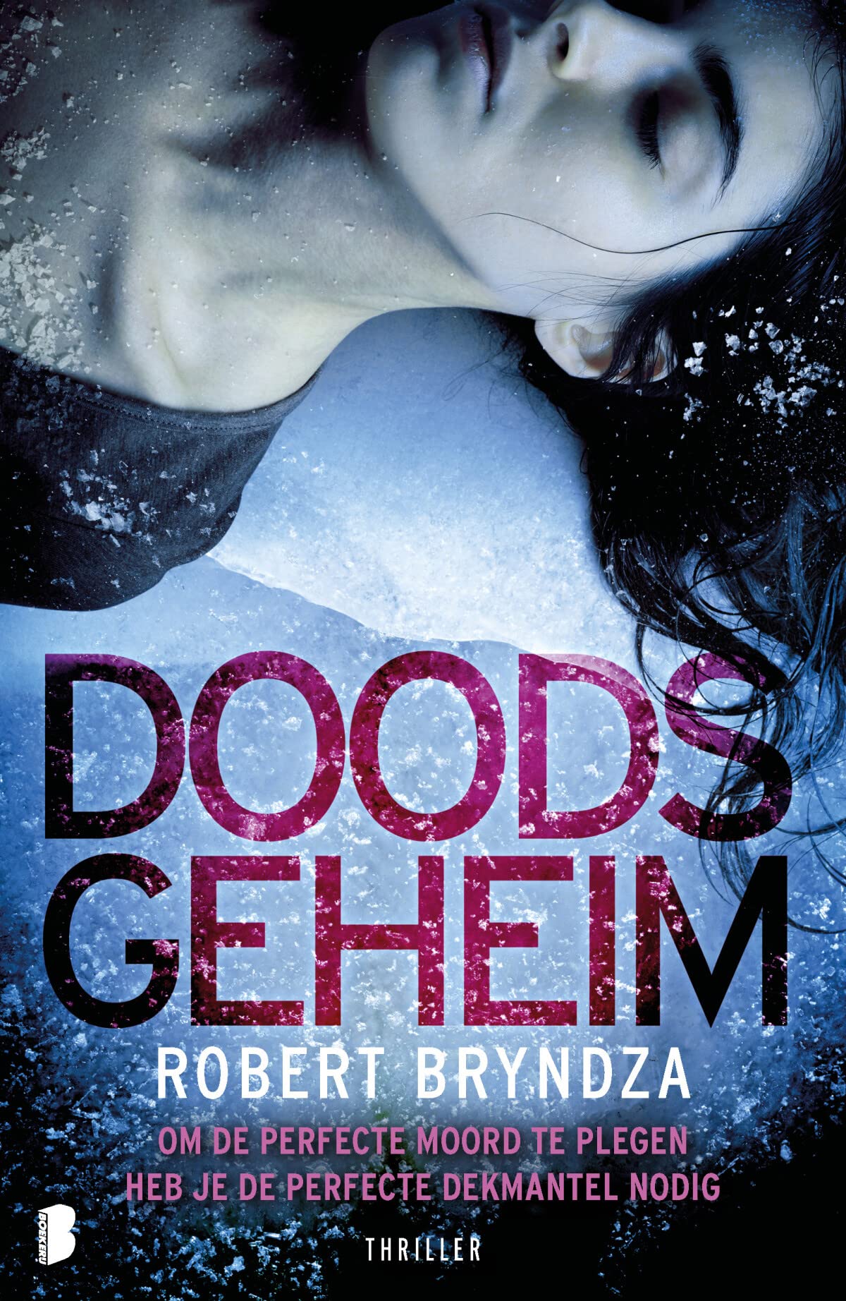 Doods geheim: Om de perfecte moord te plegen, heb je de perfecte dekmantel nodig (Erika Foster, 6) Contemporary literature