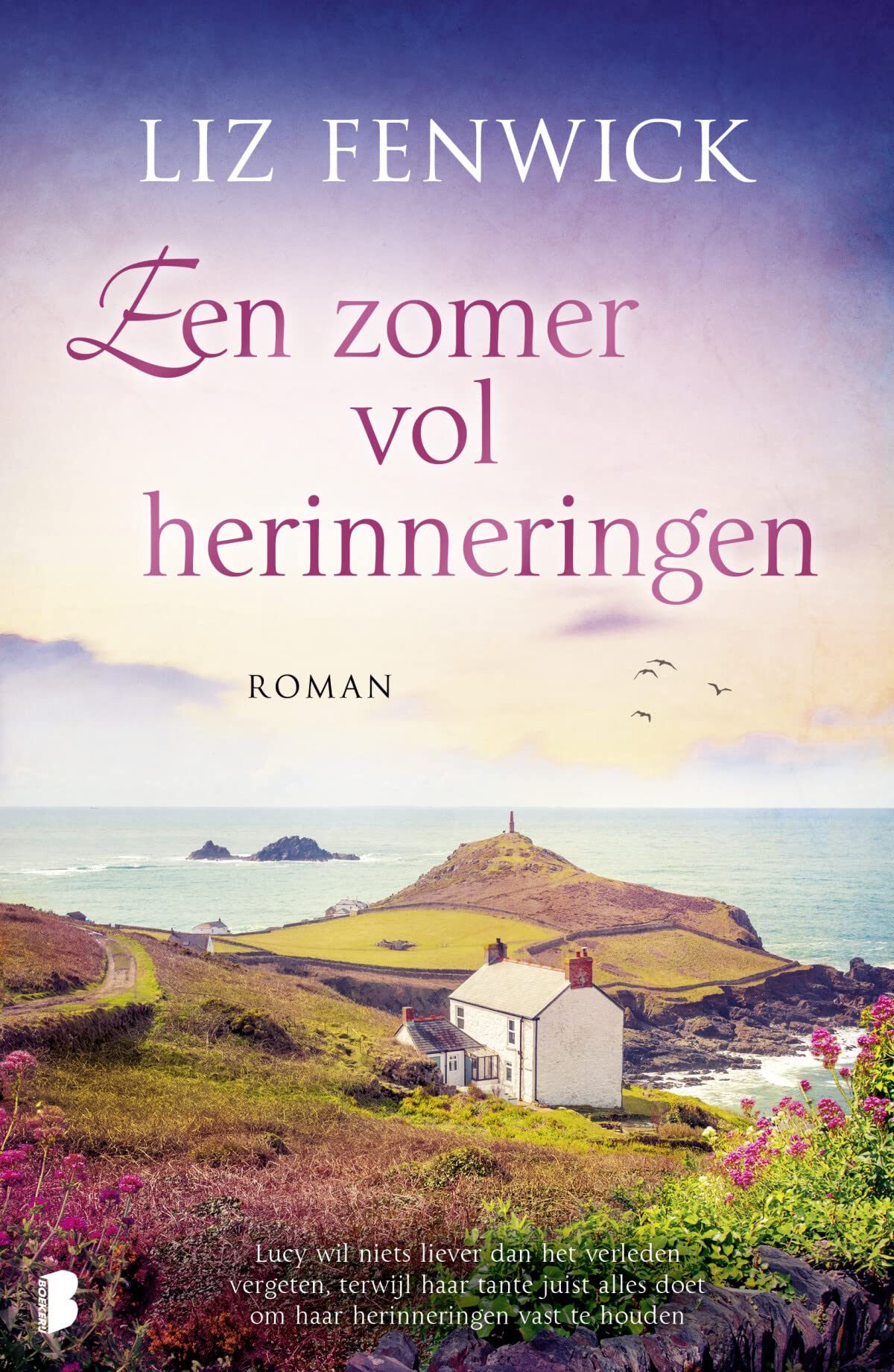 Een zomer vol herinneringen: Lucy wil niets liever dan het verleden vergeten, terwijl haar tante juist alles doet om haar herinneringen vast te houden Contemporary literature Books