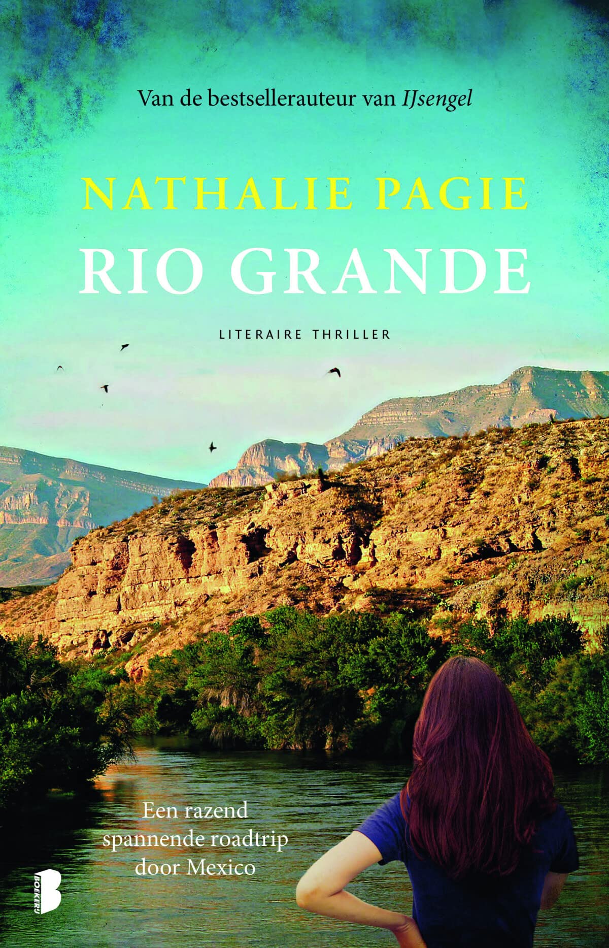 Rio Grande: een razendspannende roadtrip door Mexico Contemporary literature
