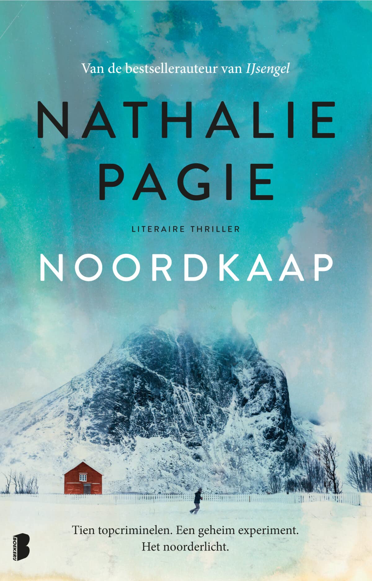 Noordkaap: Tien topcriminelen. Een geheim experiment. Het noorderlicht. Contemporary literature