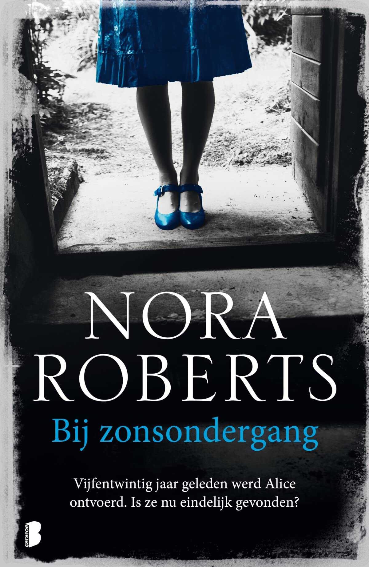 Bij zonsondergang: Vijfentwintig jaar geleden werd Alice ontvoerd. Is ze nu eindelijk gevonden? Contemporary literature