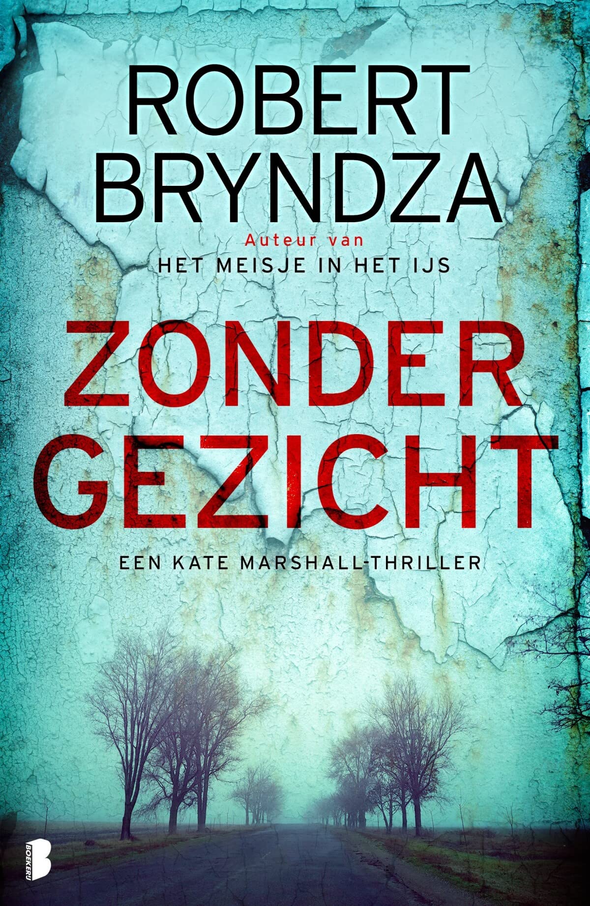 Zonder gezicht: Deel 1 van de Kate Marshall-serie (Kate Marshall, 1) Contemporary literature