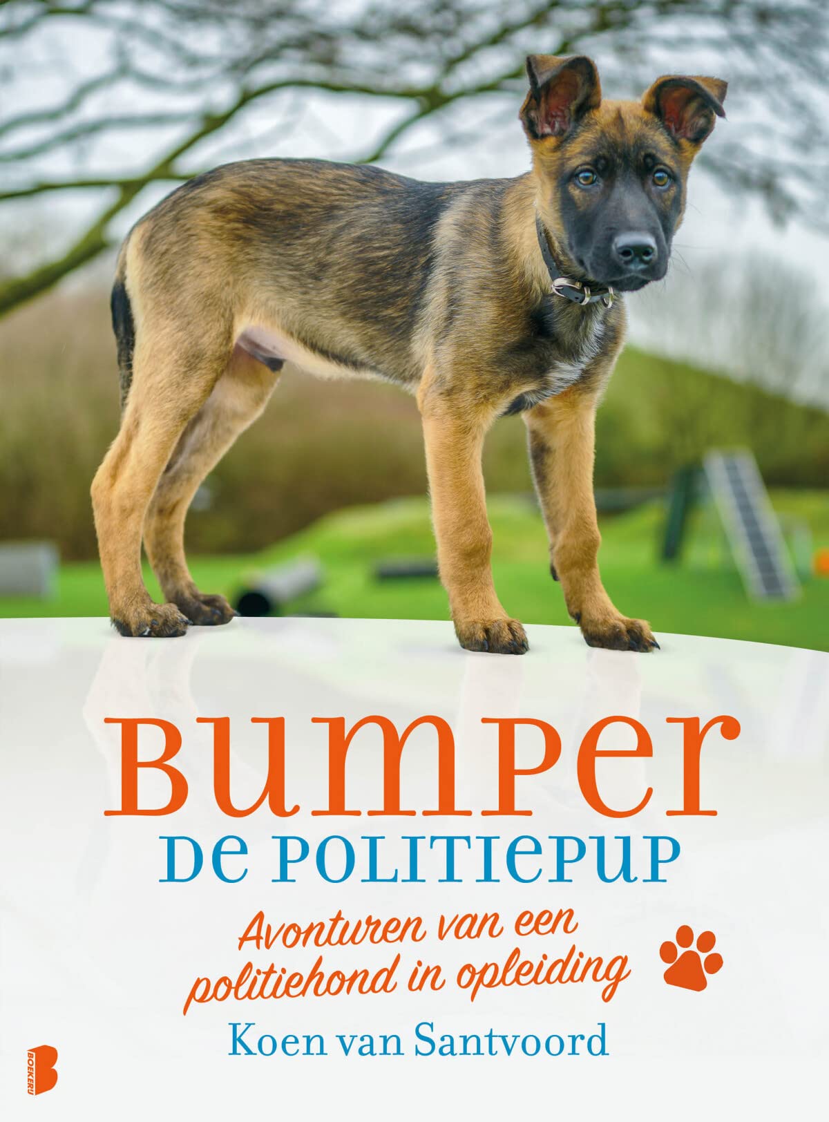 Bumper de politiepup: avonturen van een politiehond in opleiding book