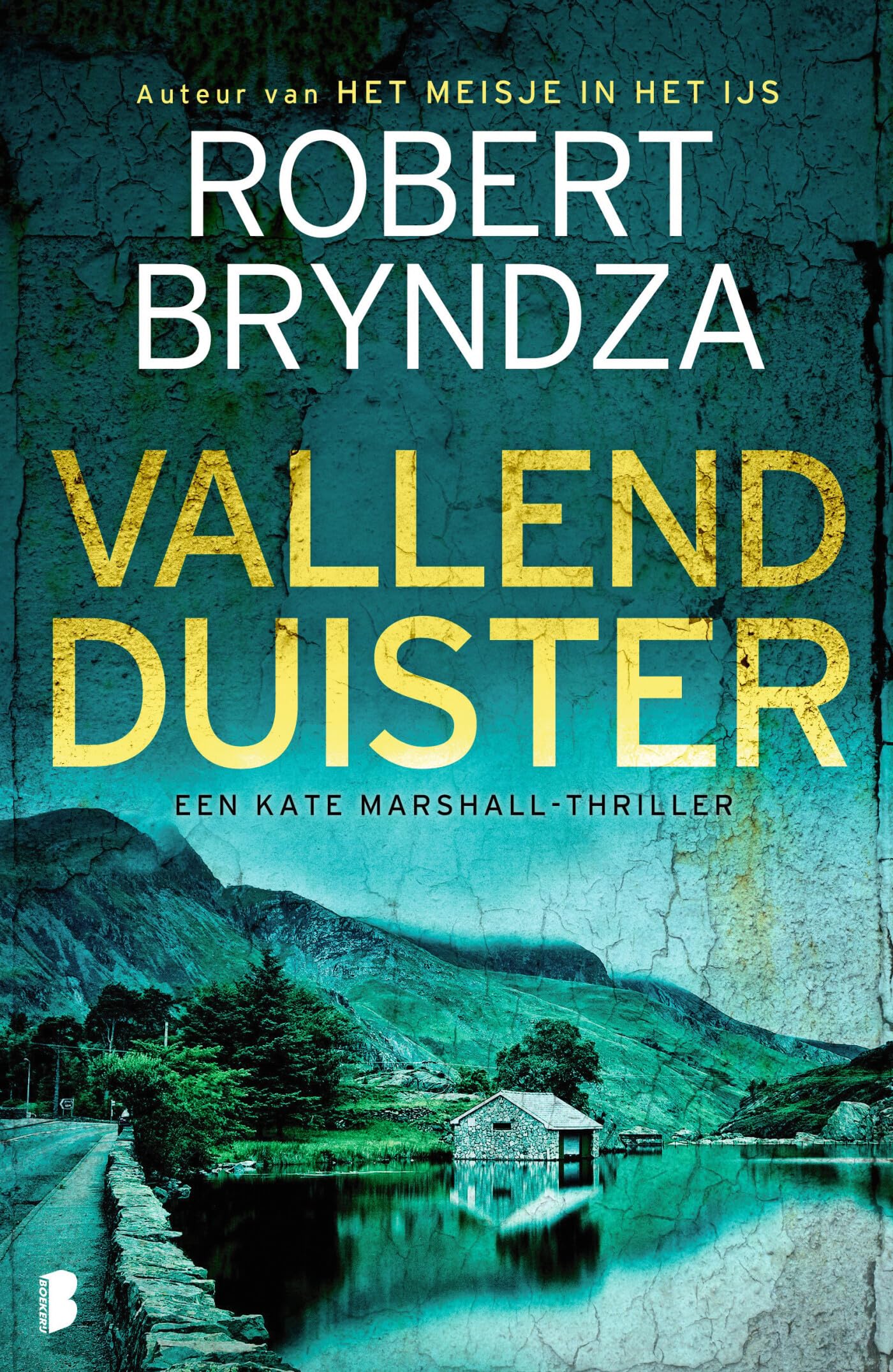 Vallend duister: Een Kate Marshall-thriller (Kate Marshall, 3) Contemporary literature