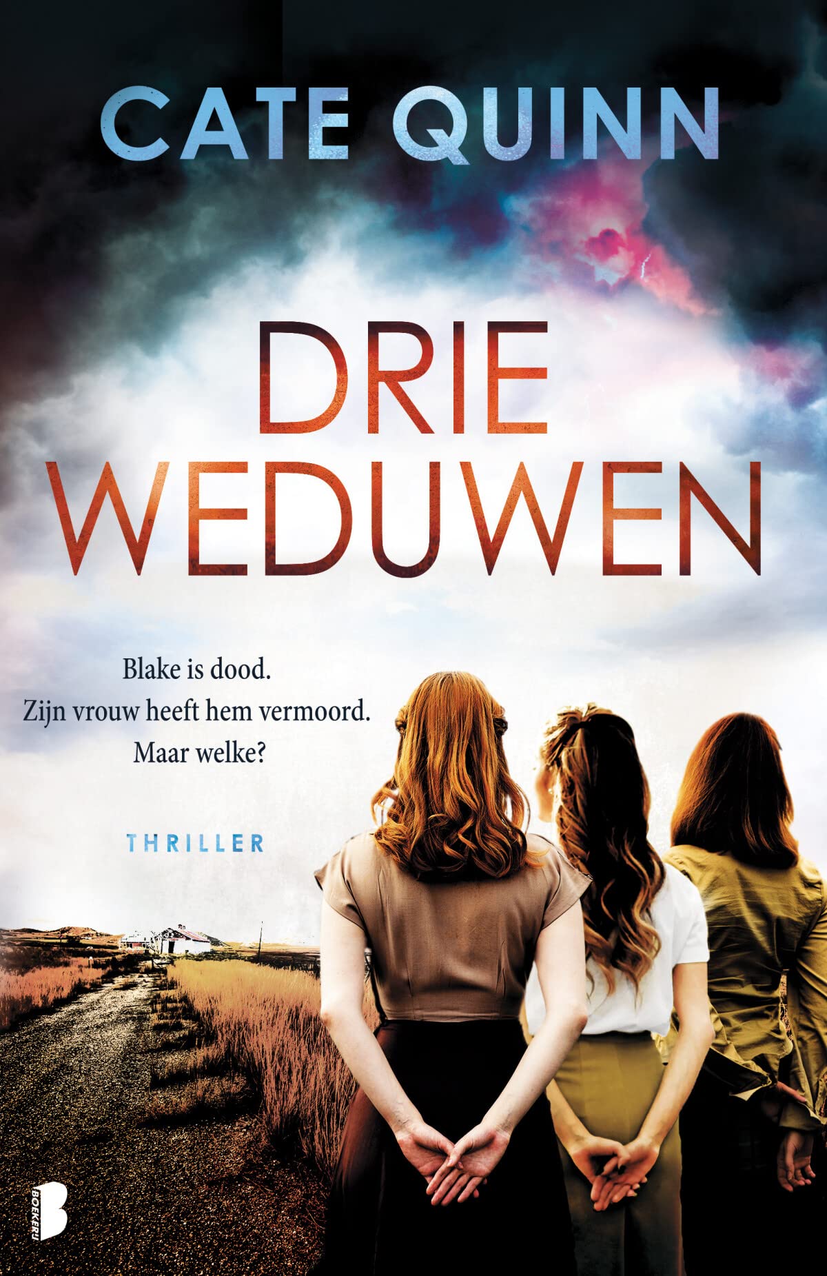 Drie weduwen: Blake is dood. Zijn vrouw heeft hem vermoord. Maar welke? book
