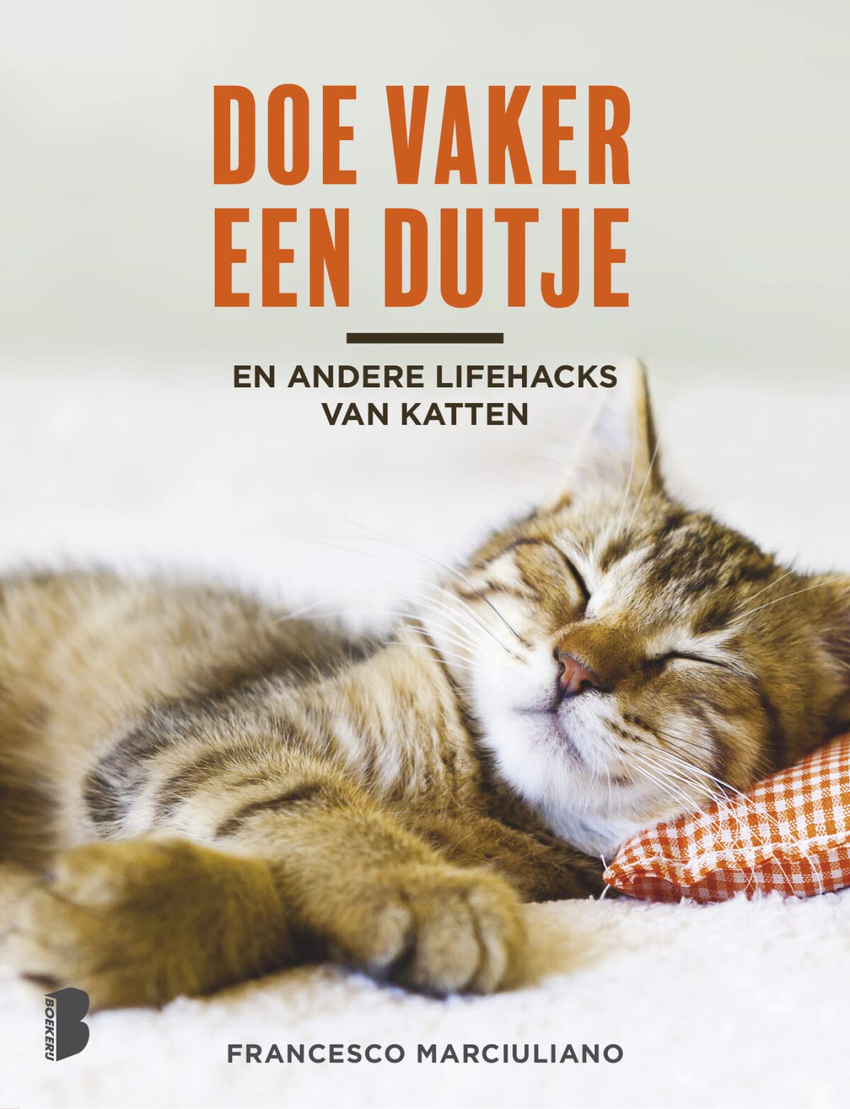 Doe vaker een dutje: en andere lifehacks van katten Pets
