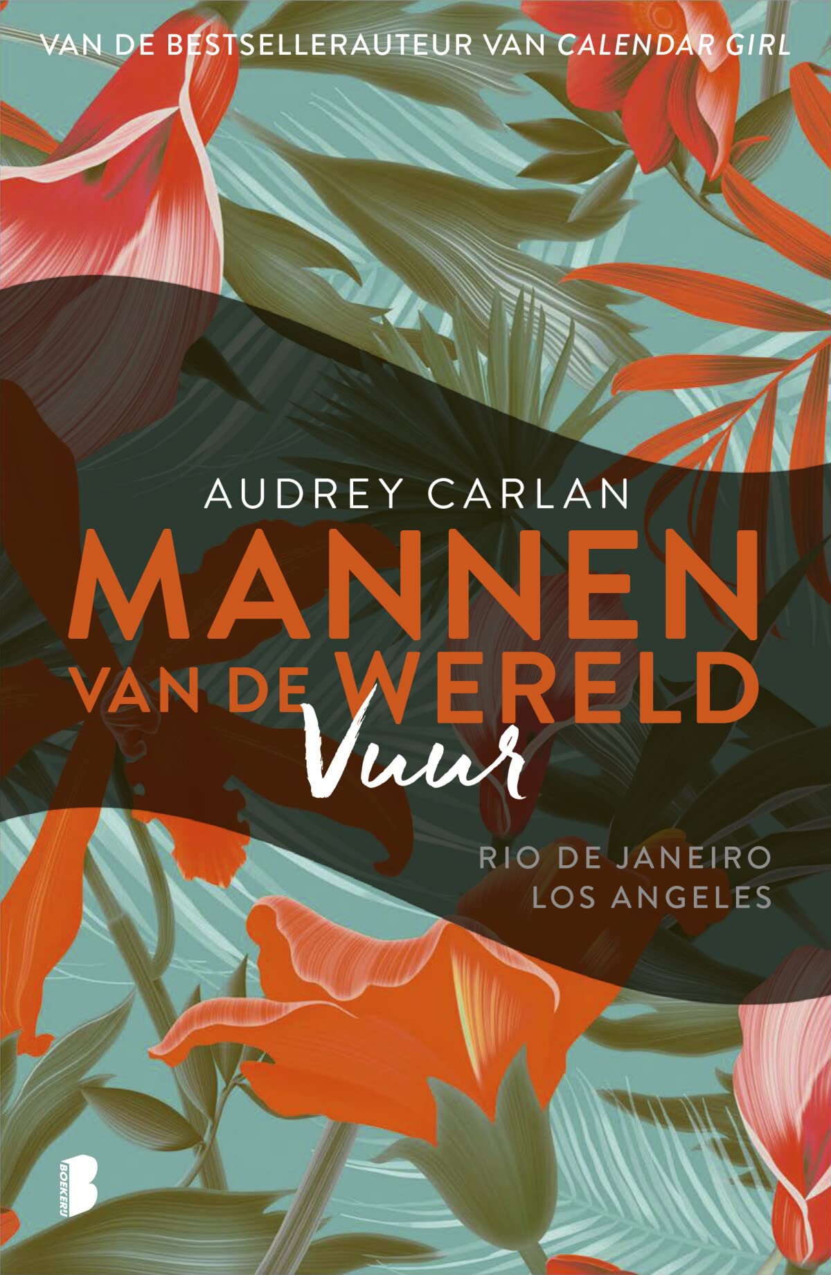 Vuur: Deel 6 van de Mannen van de wereld-serie book
