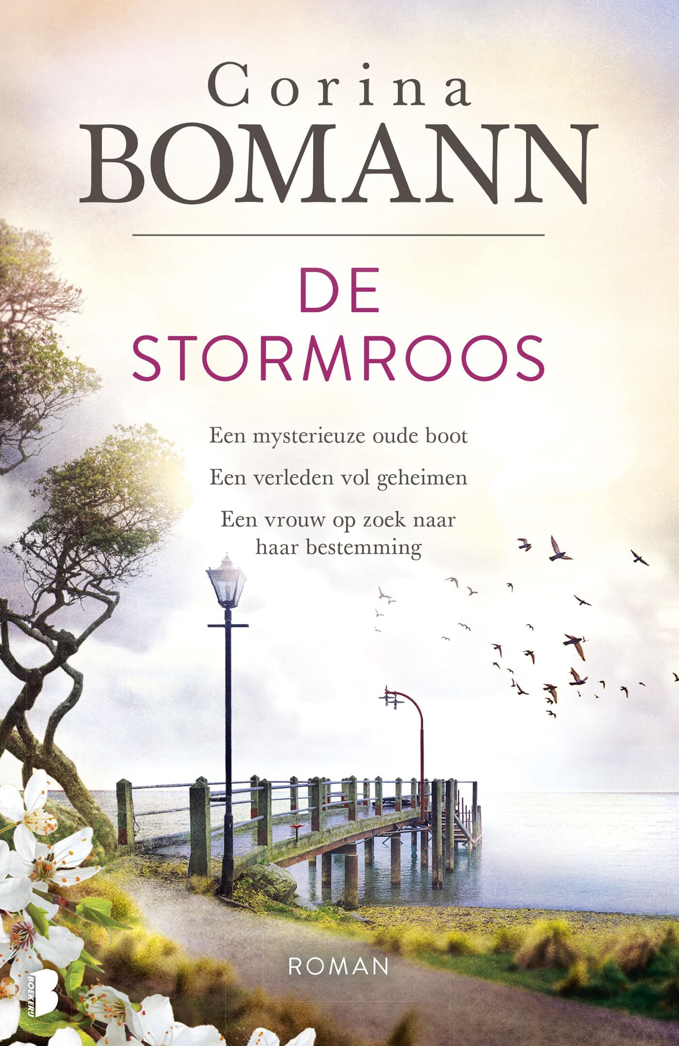 De stormroos: Een mysterieuze oude boot. Een verleden vol geheimen. Een vrouw op zoek naar haar bestemming. Historical Fiction
