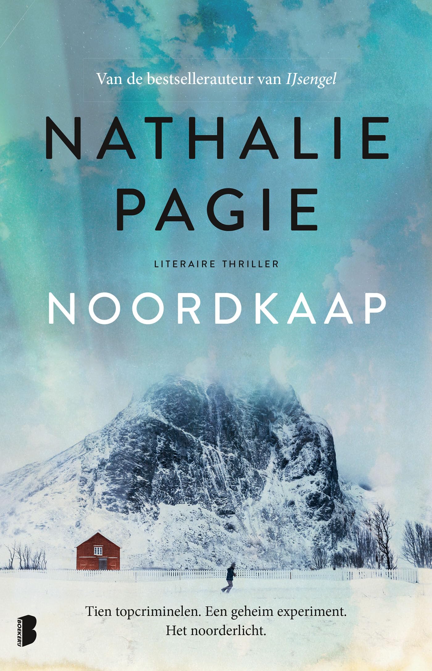 Noordkaap: Tien topcriminelen. Een geheim experiment. Het noorderlicht. Contemporary literature Books