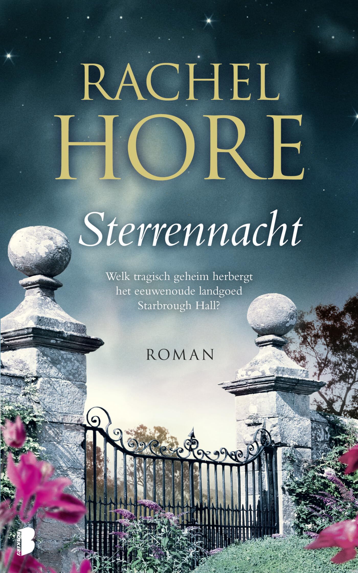 Sterrennacht: Welk tragisch geheim herbergt het eeuwenoude landgoed Starbrough Hall? Contemporary literature