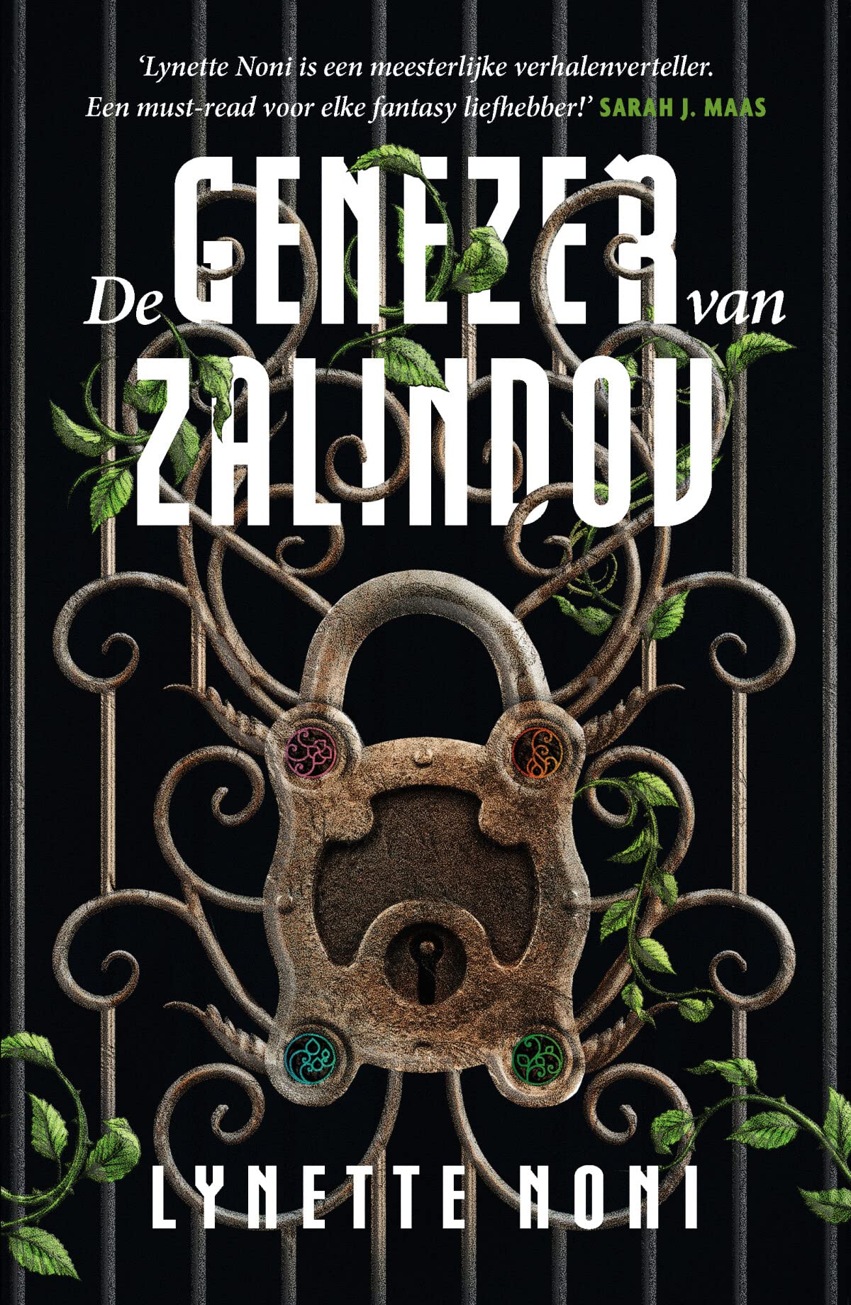 De genezer van Zalindov: Deel 1 van de Genezer-serie book