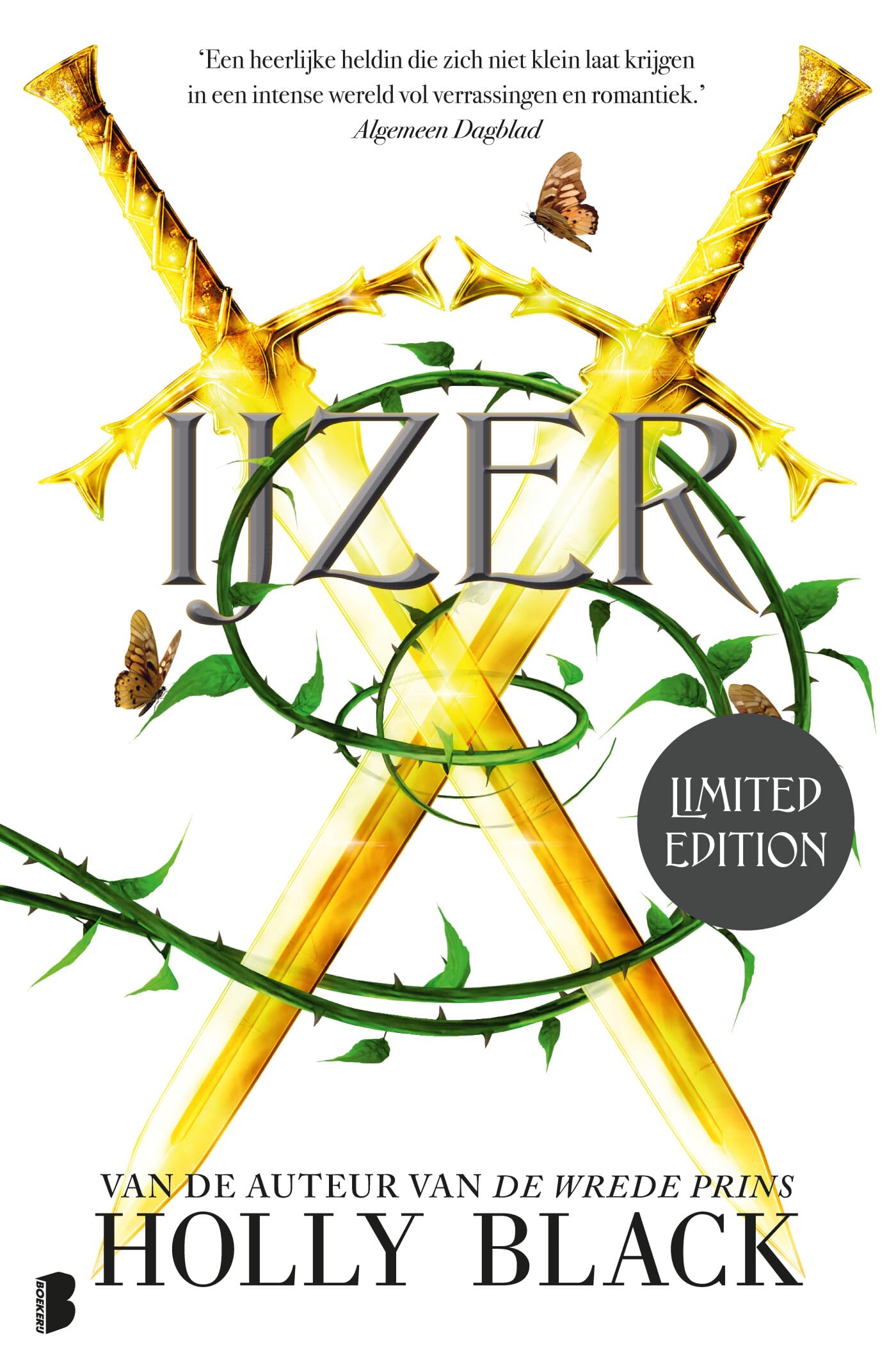 IJzer: Deel 3 van de Modern Faerietales-serie (Faerie-trilogie, 3) Fairy Tales & Legends