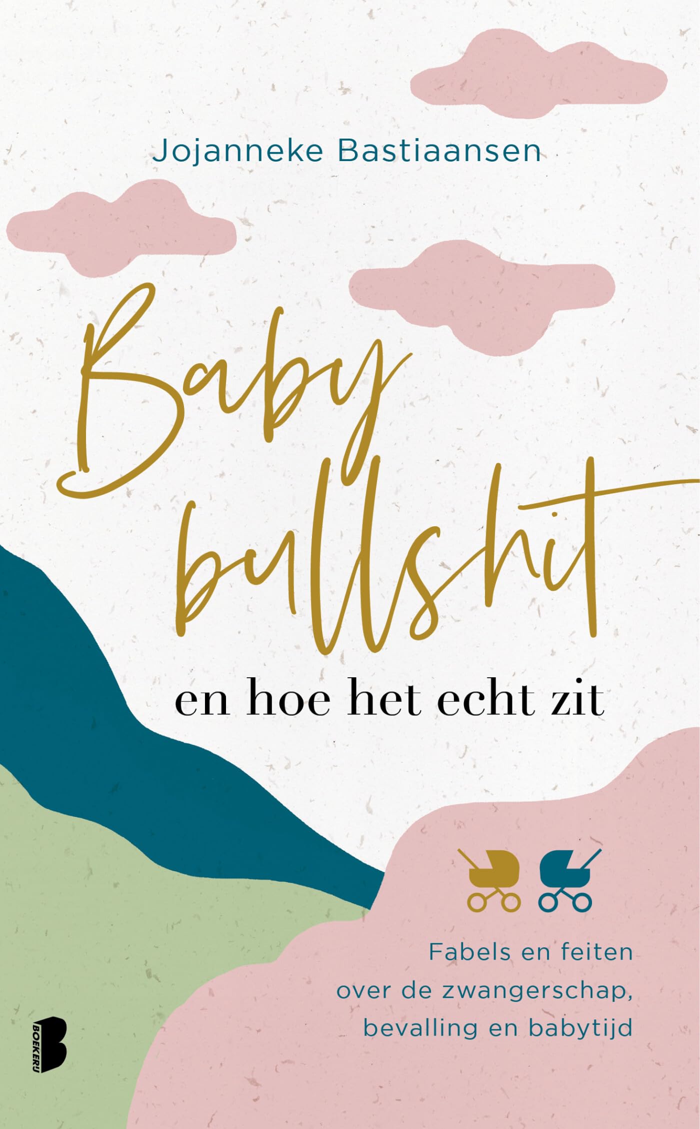 Babybullshit en hoe het echt zit: fabels en feiten over de zwangerschap, bevalling en babytijd Business, Finance & Career