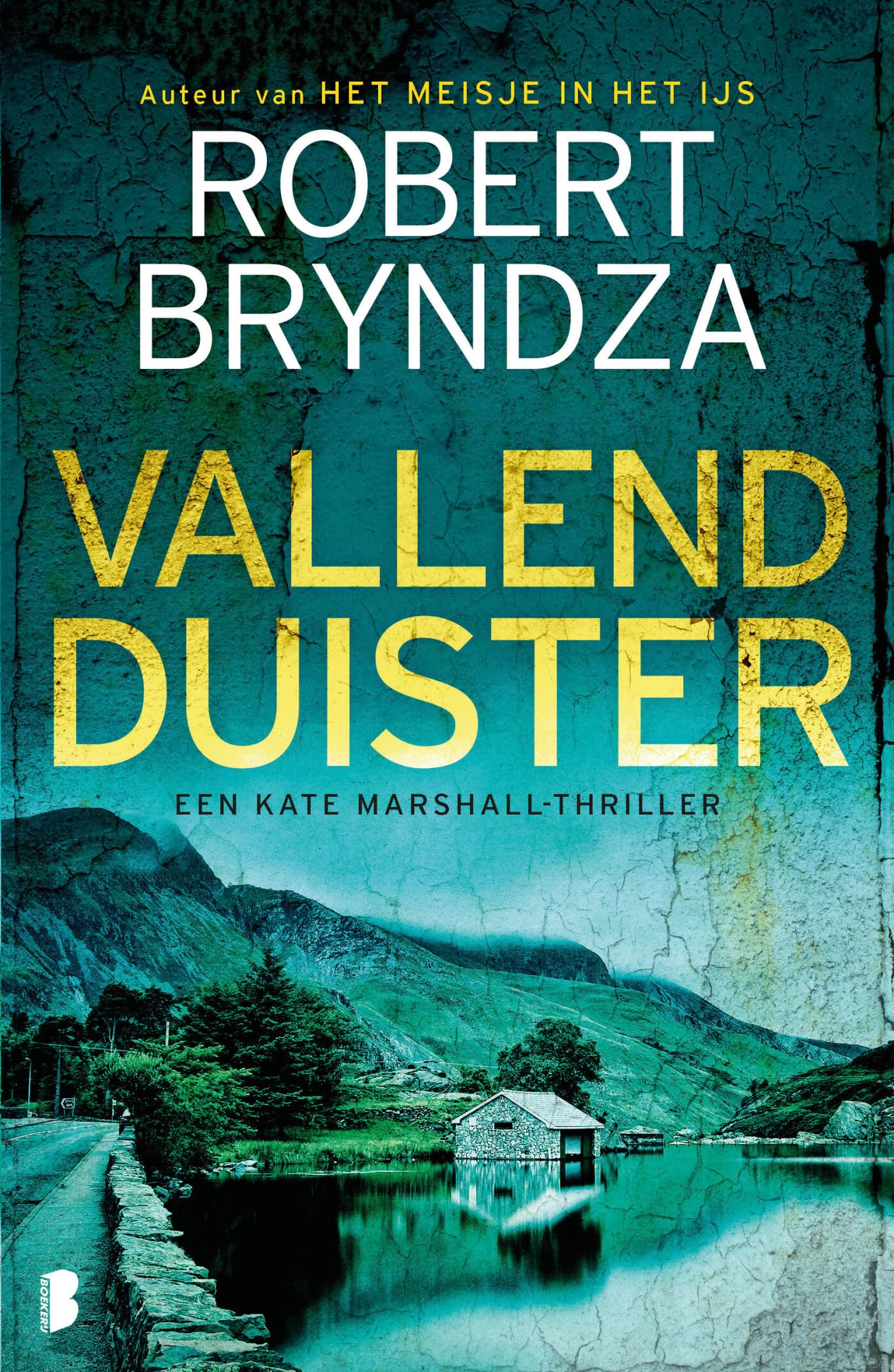 Vallend duister: Deel 3 van de Kate Marshall-serie (Kate Marshall, 3) Contemporary literature
