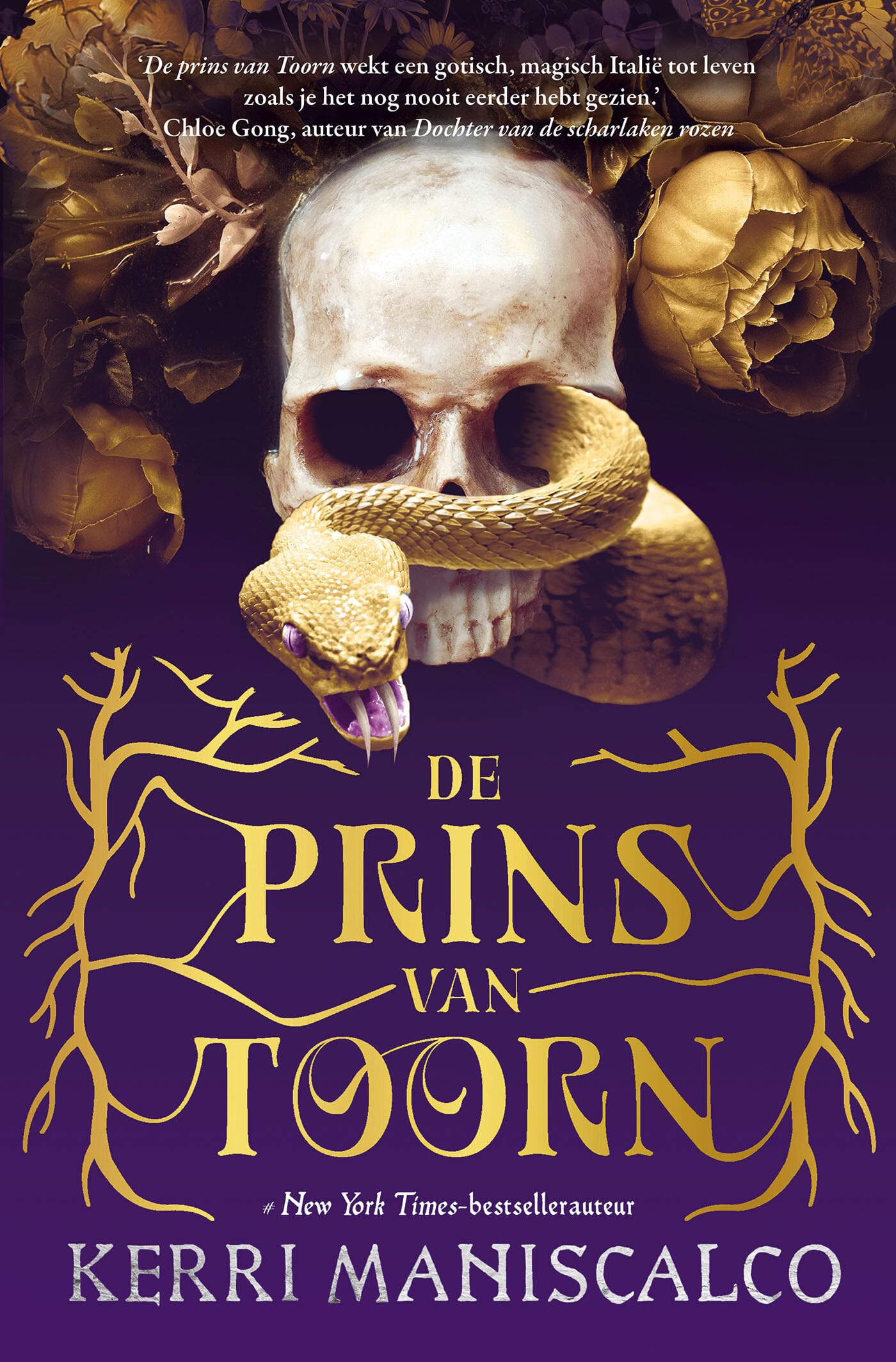 De prins van toorn (Koninkrijk van de verdorvenen, 1) Historical Fiction