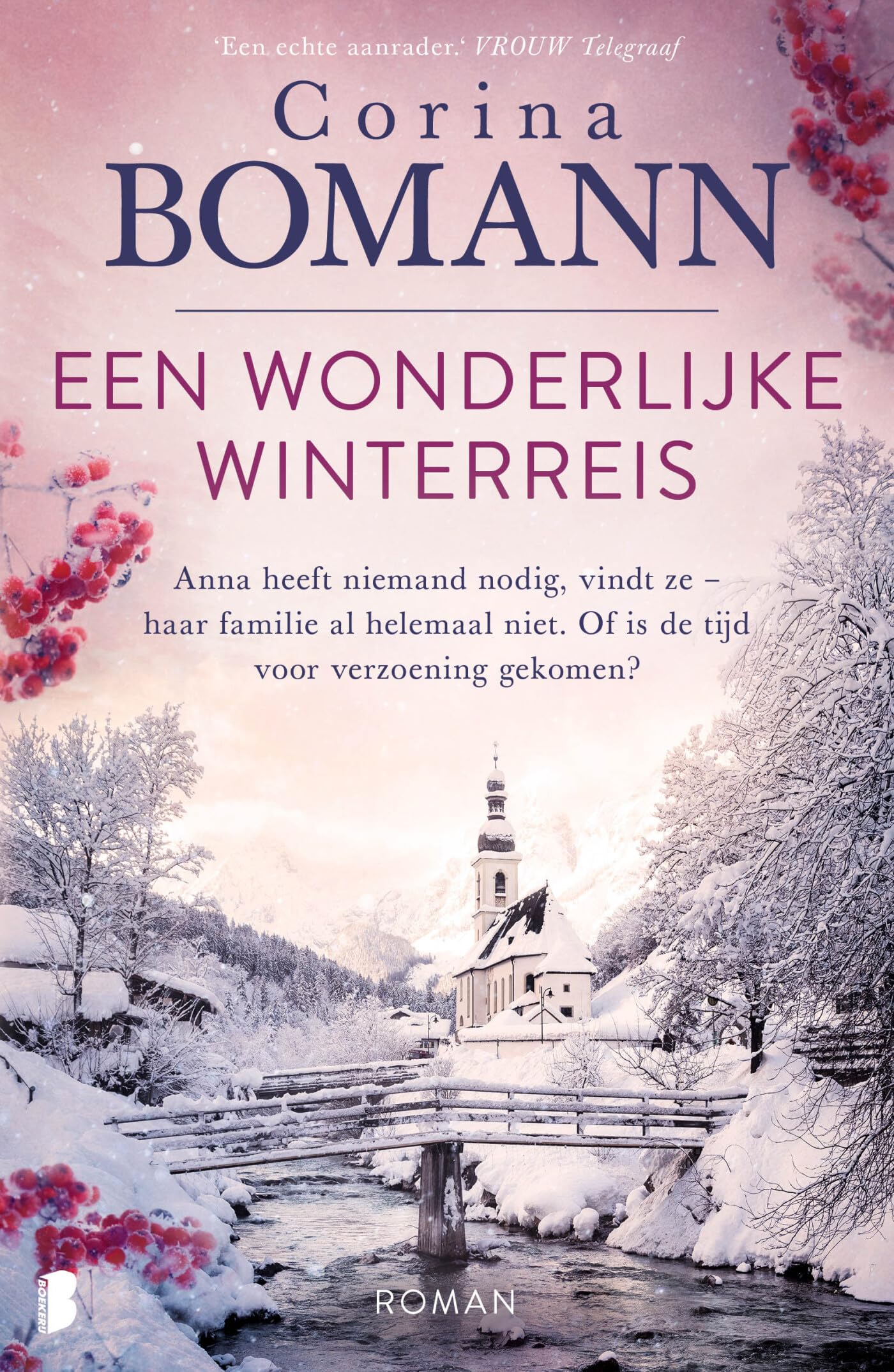 Een wonderlijke winterreis book