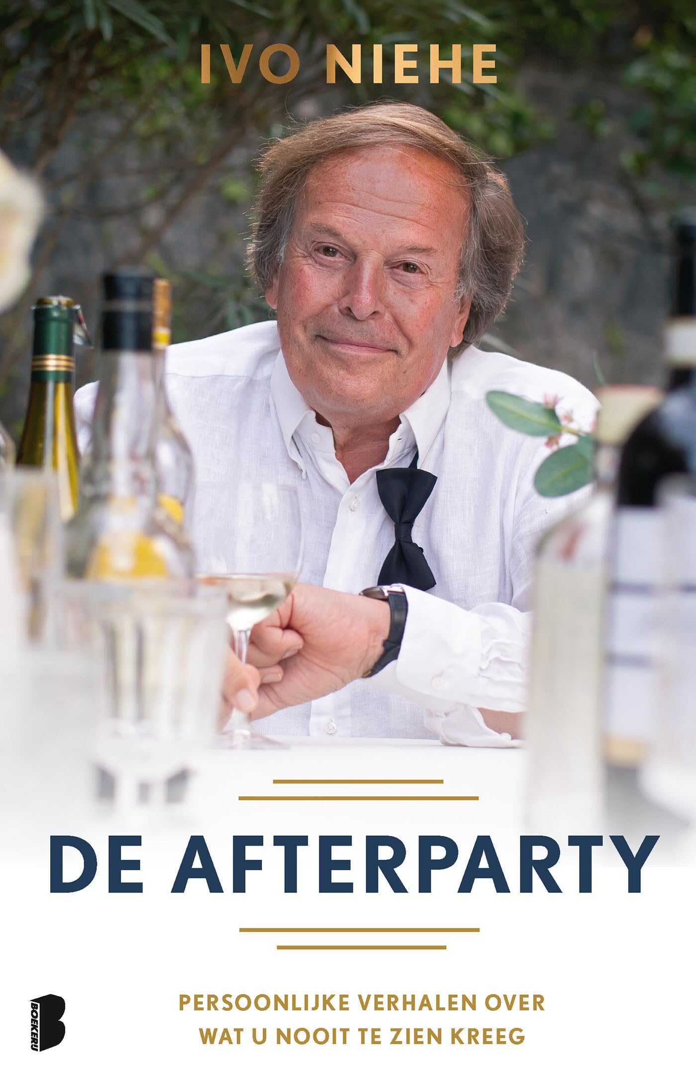 De afterparty: persoonlijke verhalen over wat u nooit te zien kreeg Essays & Short Stories