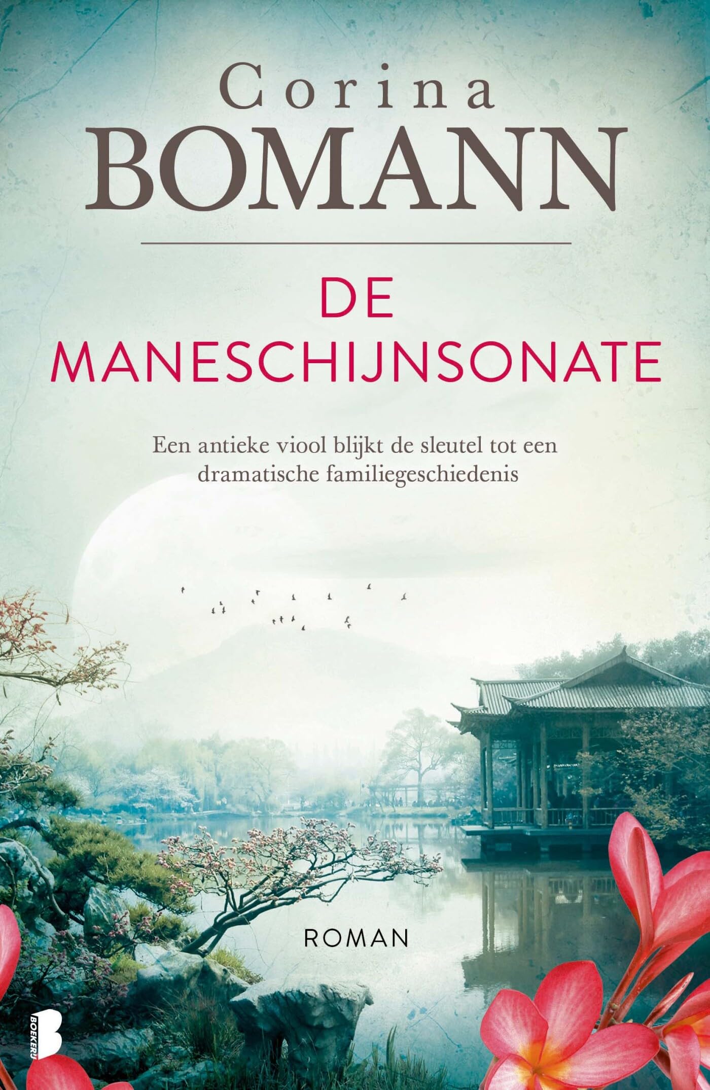 De maneschijnsonate: Een antieke viool blijkt de sleutel tot een dramatische familiegeschiedenis Contemporary literature Books