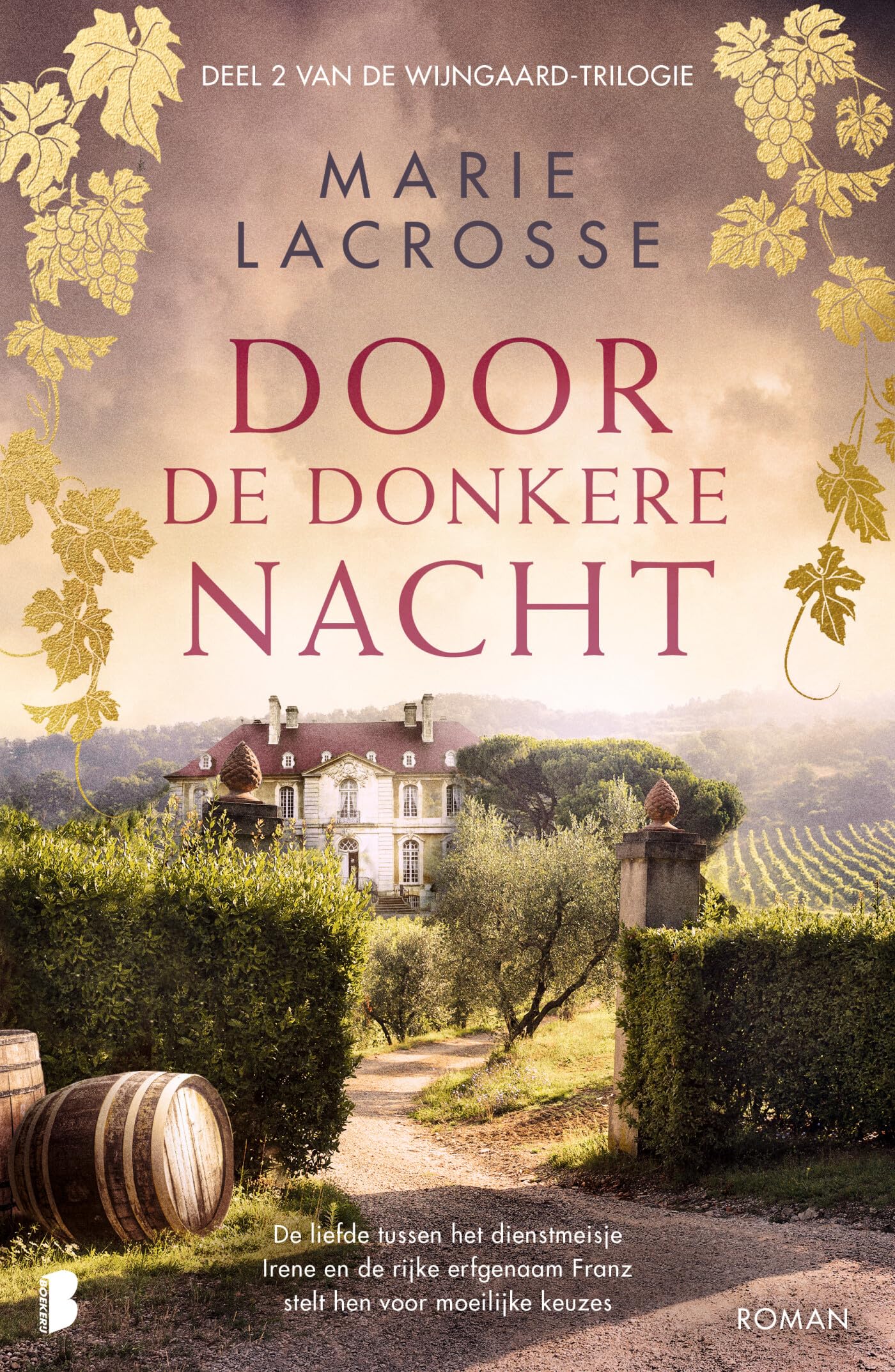 Door de donkere nacht: Deel 2 van de Wijngaard-serie (Wijngaard-trilogie, 2) Historical Fiction