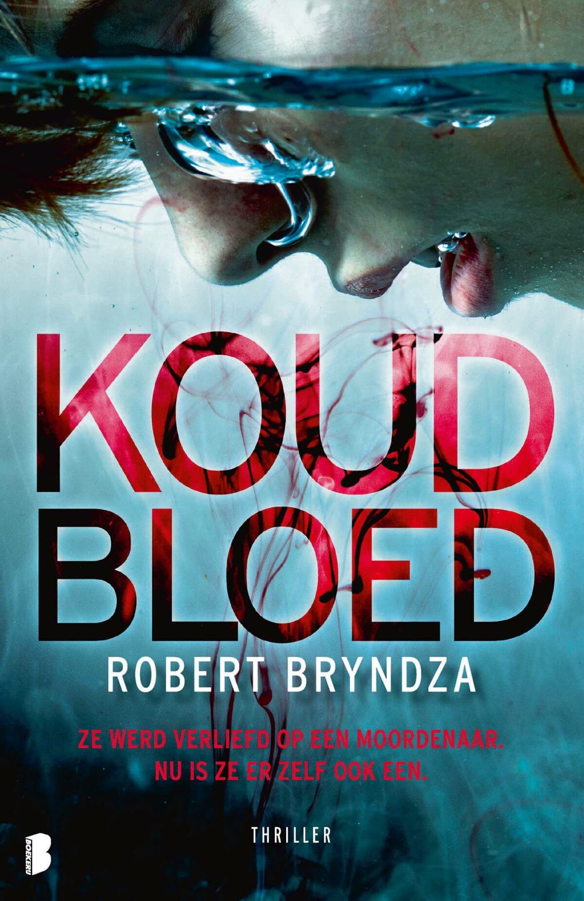 Koud bloed: Deel 5 van de Erika Foster-serie book