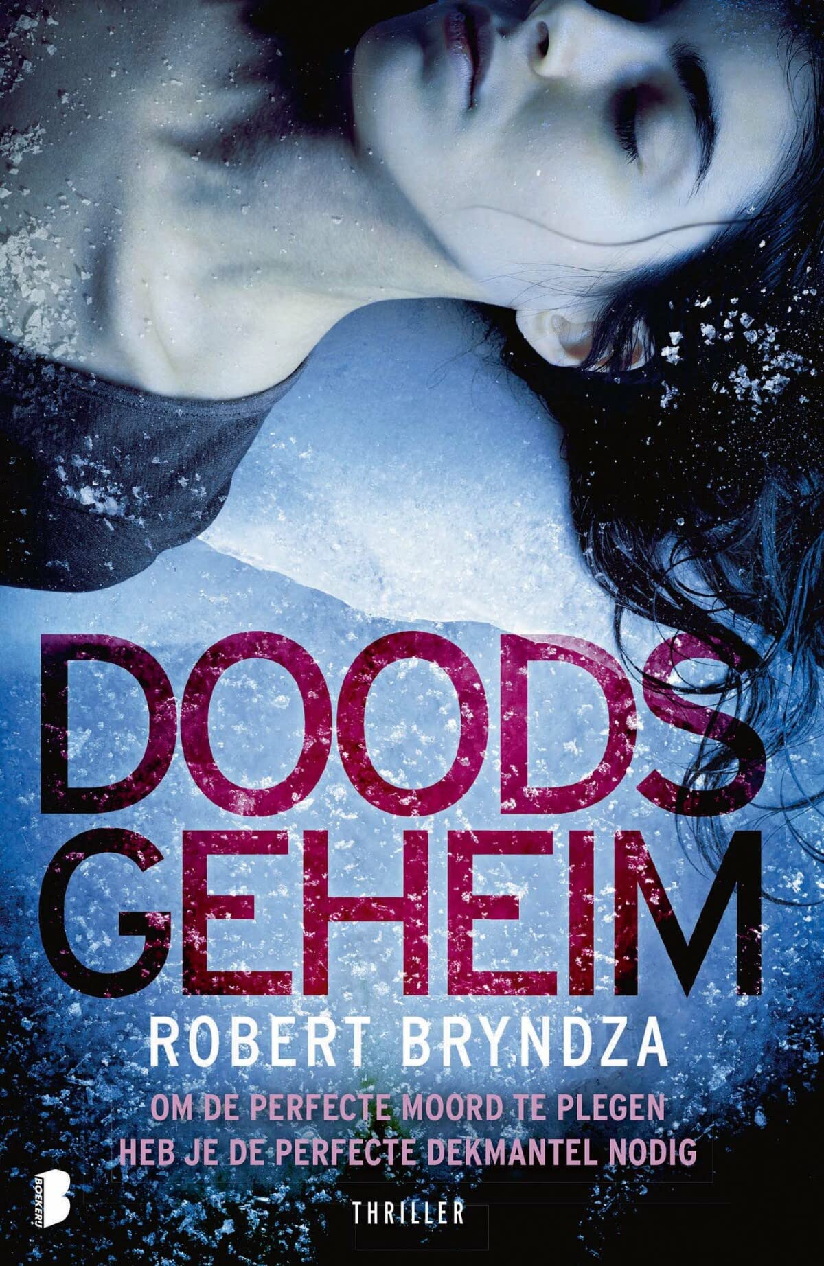 Doods geheim: Deel 6 van de Erika Foster-serie book