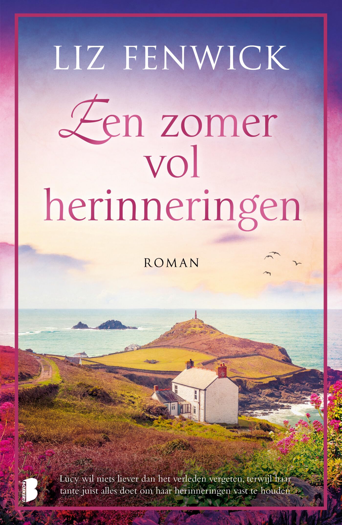 Een zomer vol herinneringen: Lucy wil niets liever dan het verleden vergeten, terwijl haar tante juist alles doet om haar herinneringen vast te houden Contemporary literature Books