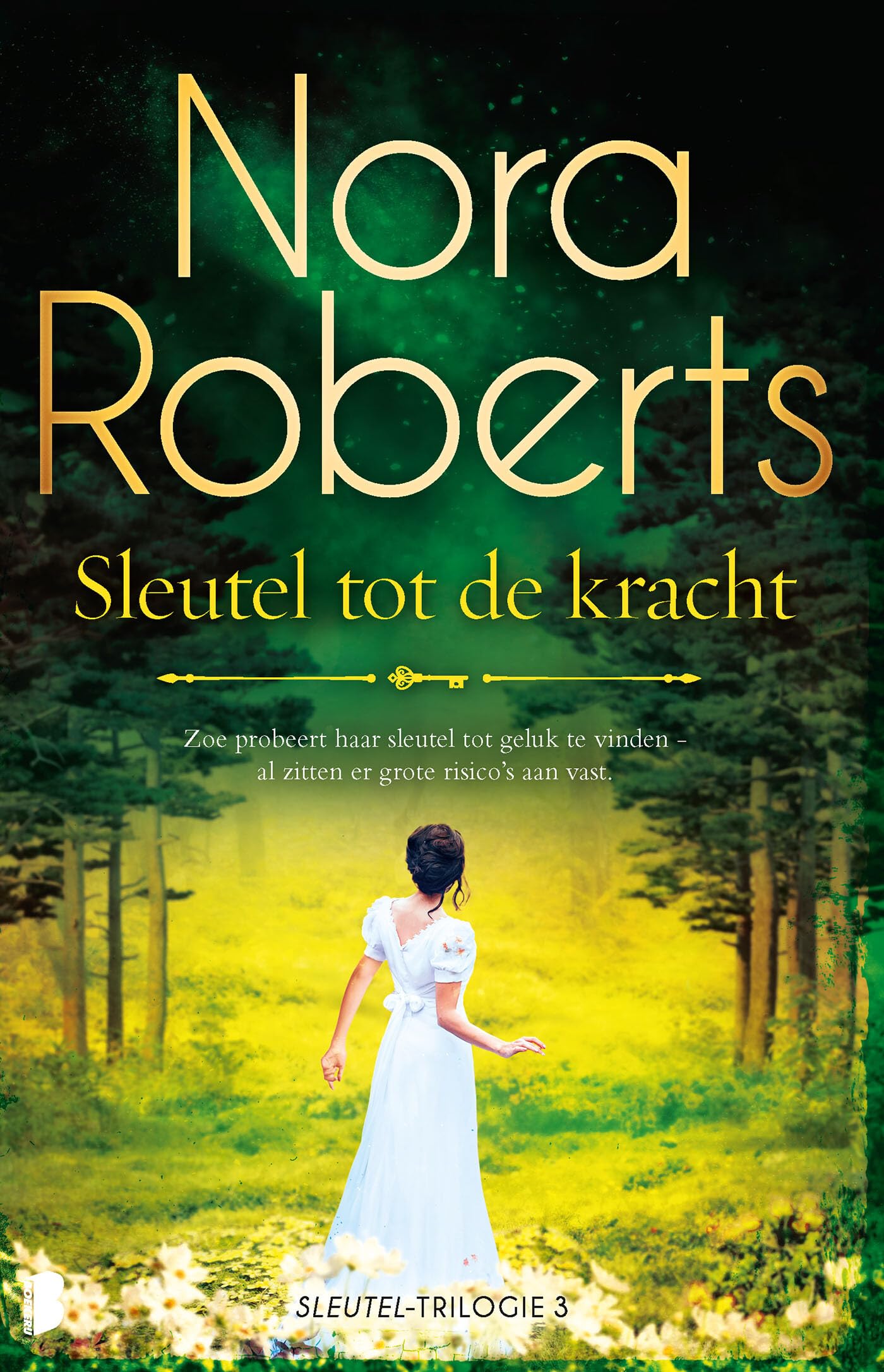 Sleutel tot de kracht: Deel 3 van de Sleutel-serie (Sleuteltrilogie, 3) Contemporary literature