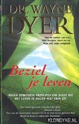 Beziel je leven: negen spirituele principes om alles uit het leven te halen wat erin zit Lifestyle