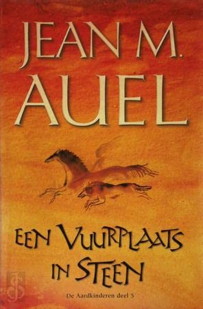 Een vuurplaats in steen book