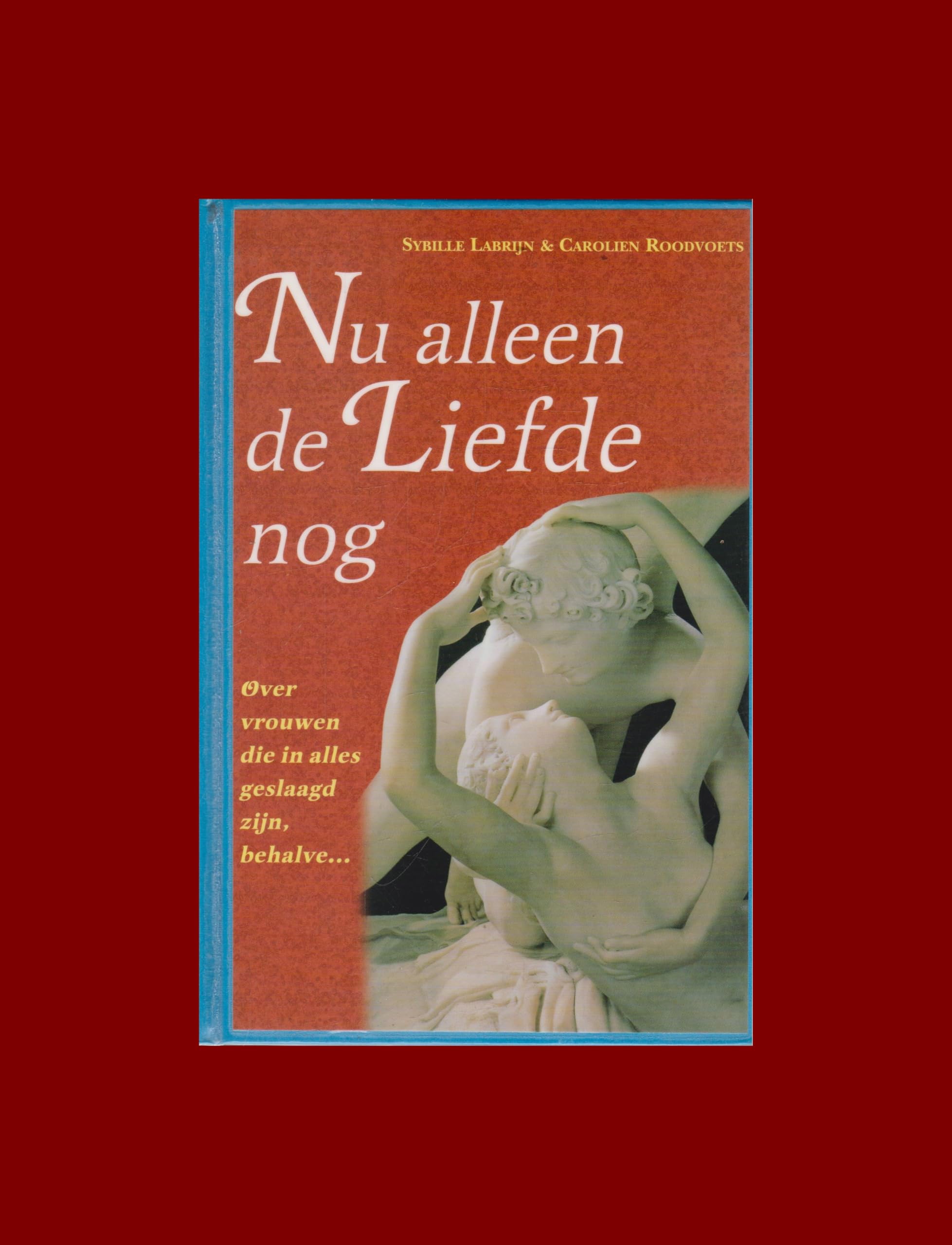 Nu alleen de liefde nog: over vrouwen die in alles geslaagd zijn, behalve ... book