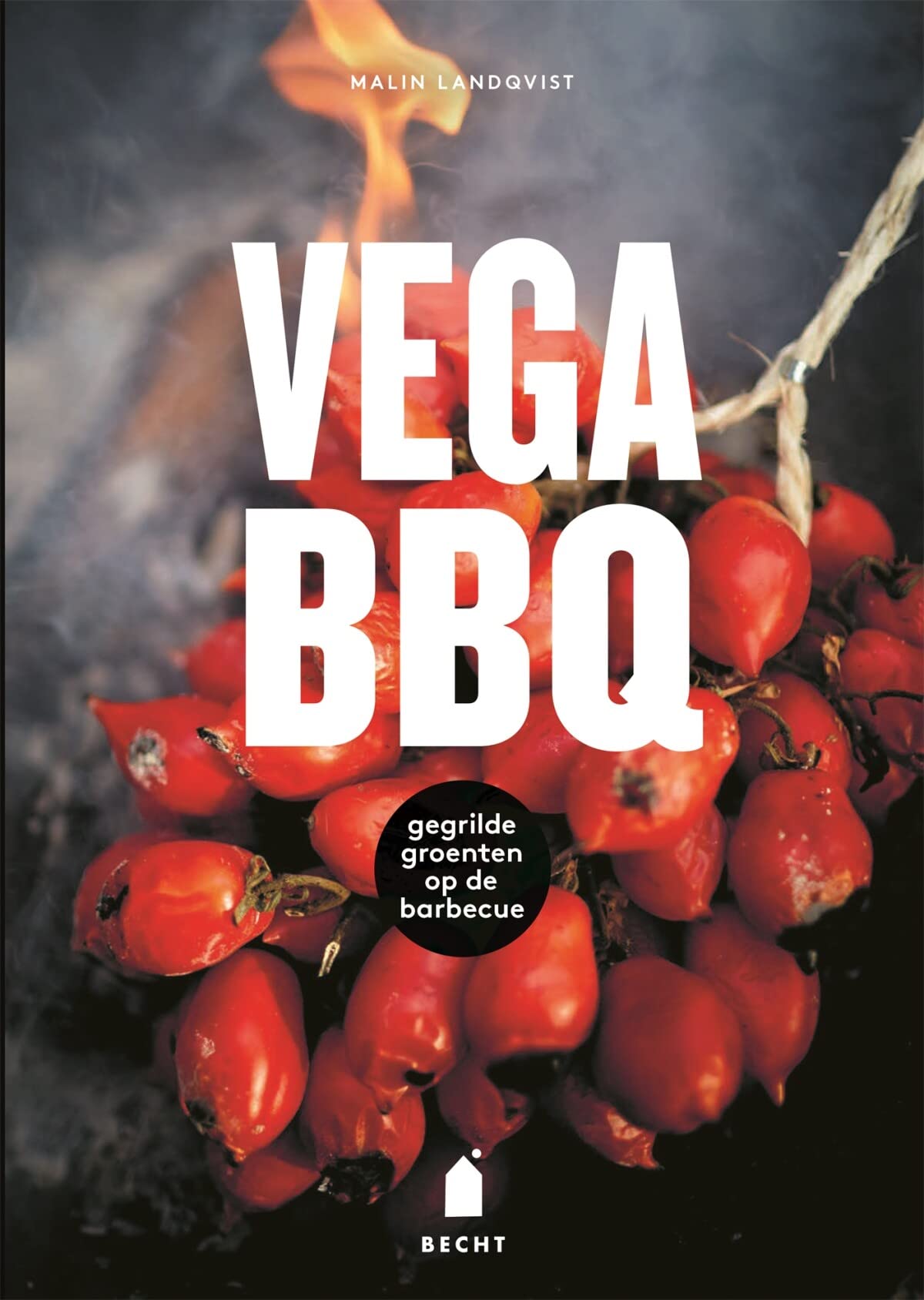 Vega BBQ: gegrilde groenten op de barbecue book
