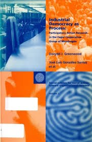 Industrial Democracy as Process: Participatory Action in the Fagor Cooperative Group of Mondragon (Social science for social action: toward organizational renewal, Band 2) Social Sciences
