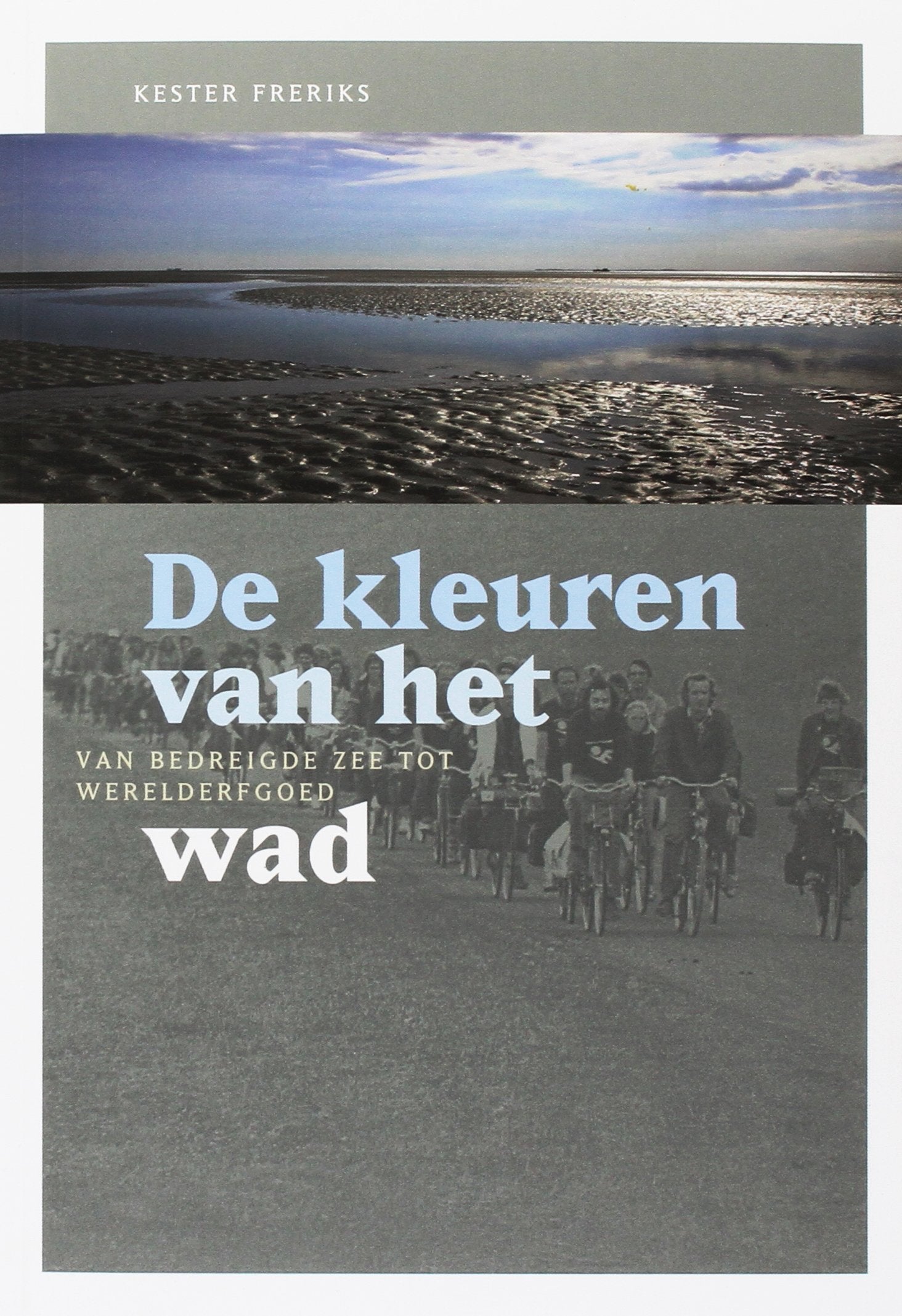 De kleuren van het wad: van bedreigde zee tot werelderfgoed book