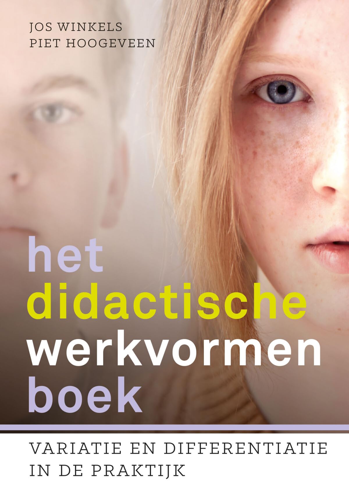 Het didactische werkvormenboek: variatie en differentiatie in de praktijk book