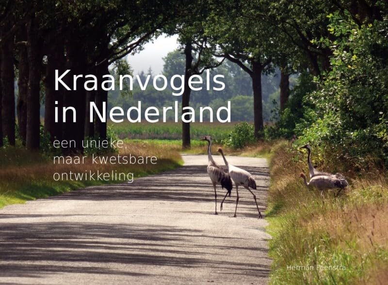 Kraanvogels in Nederland: Een unieke maar kwetsbare ontwikkeling Health, Nutrition & Fitness