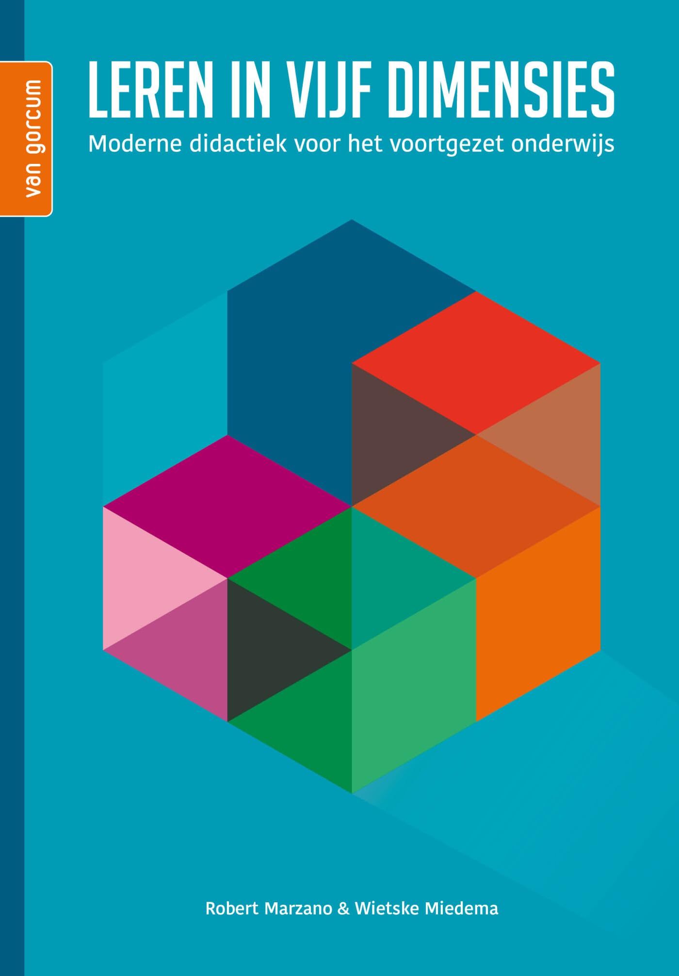 Leren in vijf dimensies: moderne didactiek voor het voortgezet onderwijs book