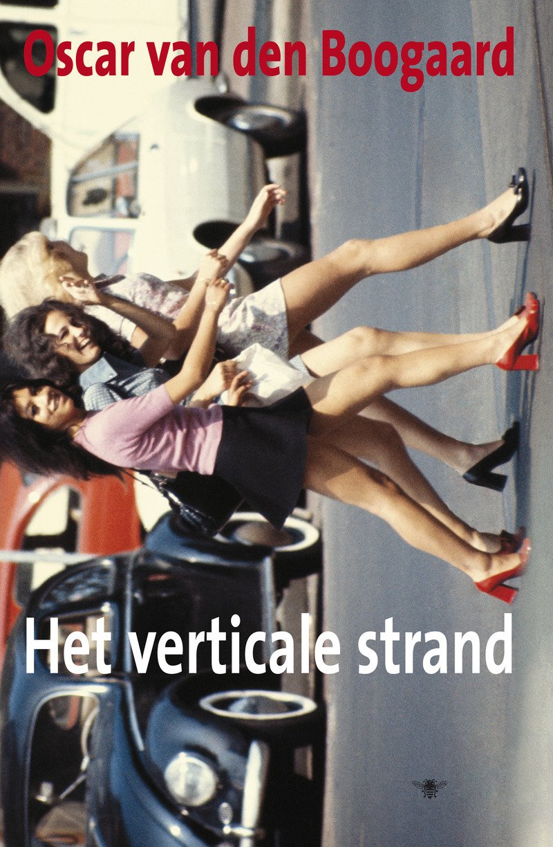 Het verticale strand: roman book