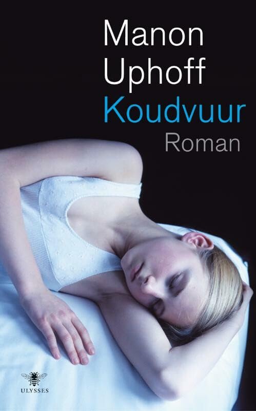 Product Image: Koudvuur: roman
