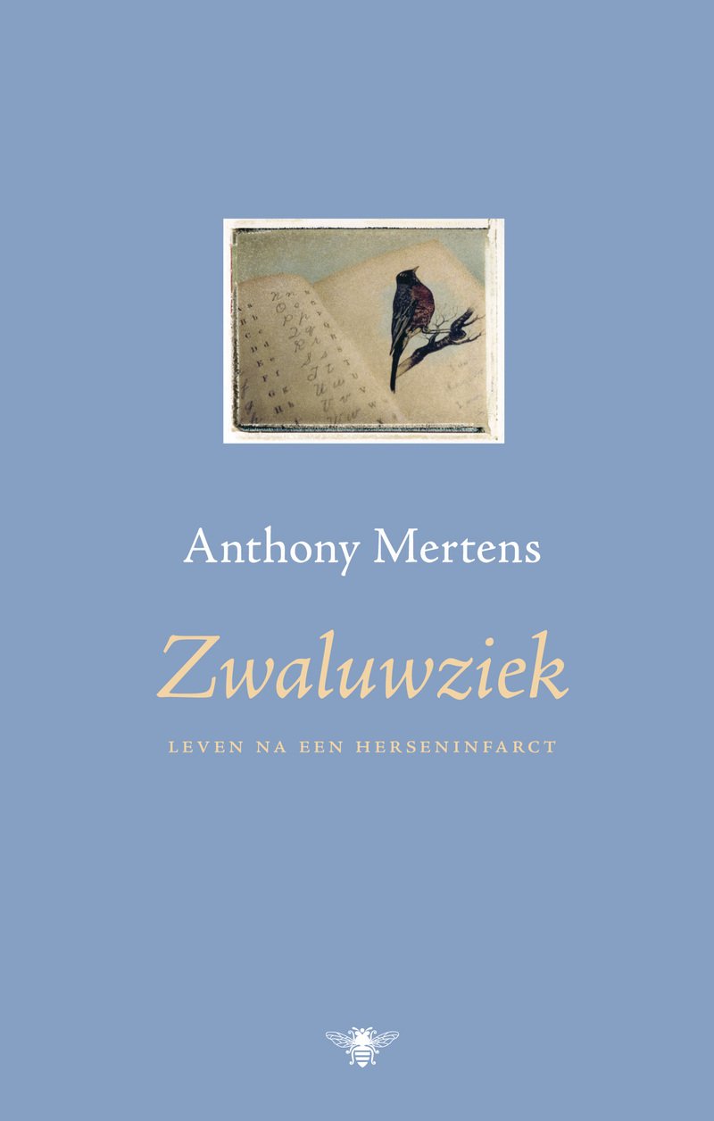 Zwaluwziek: leven na een herseninfarct book