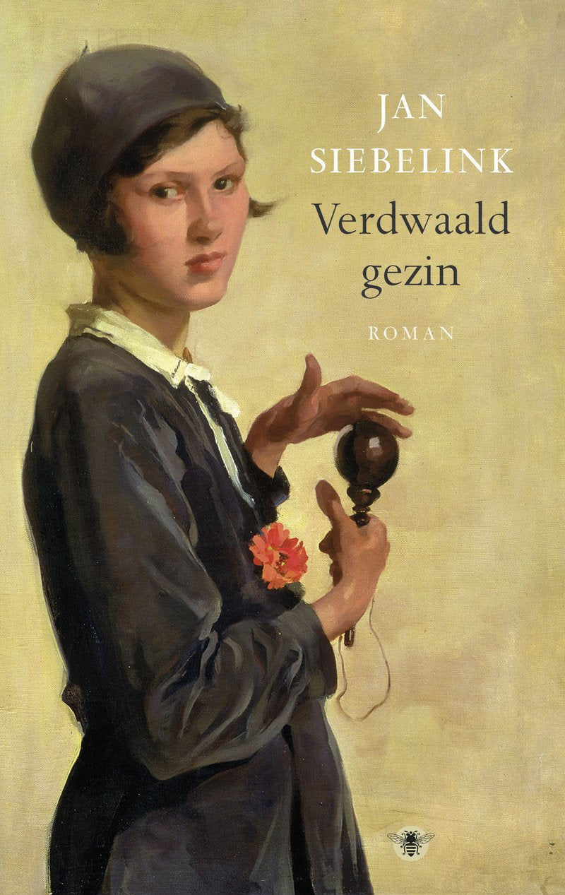 Verdwaald gezin: roman book
