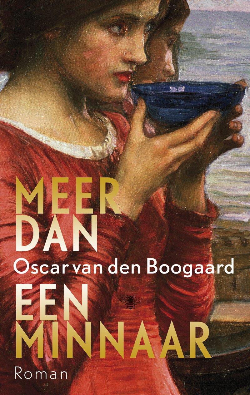 Meer dan een minnaar: roman Contemporary literature